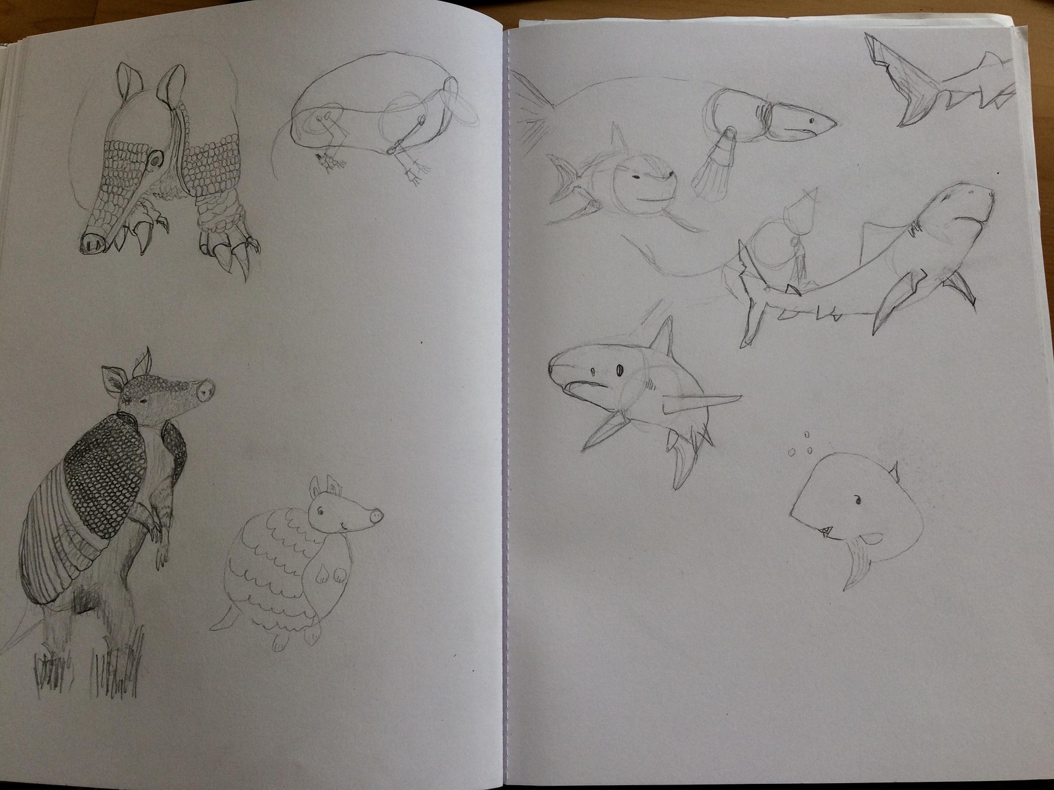Animals - image 8 - student project