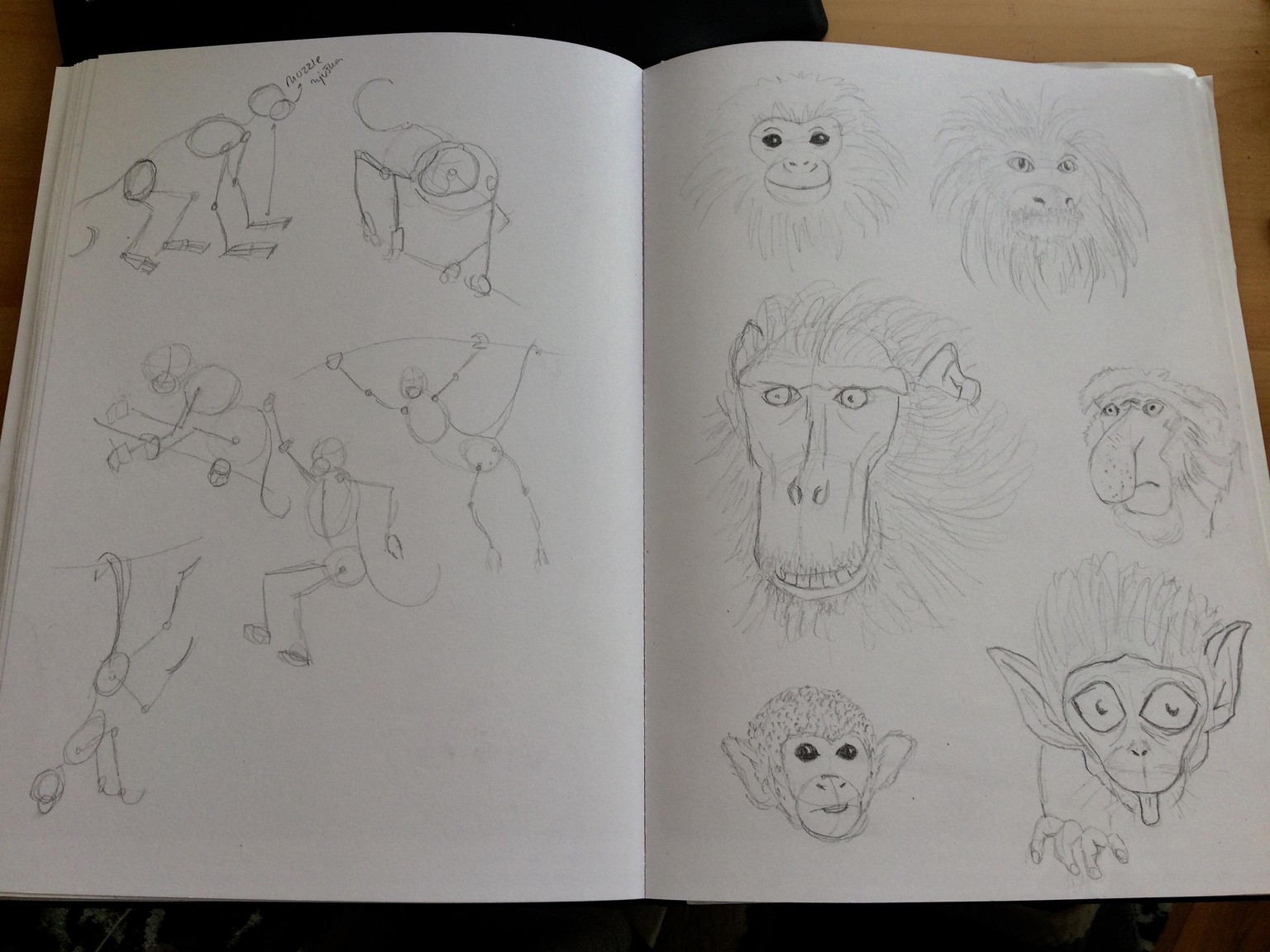 Animals - image 7 - student project