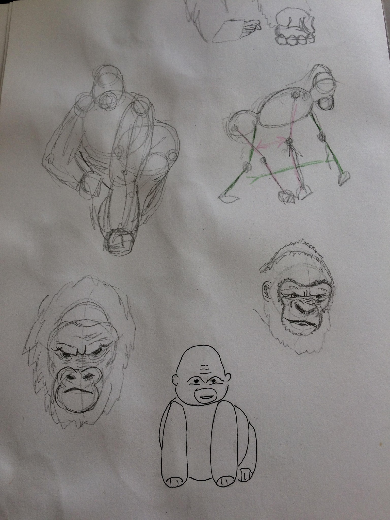Animals - image 5 - student project