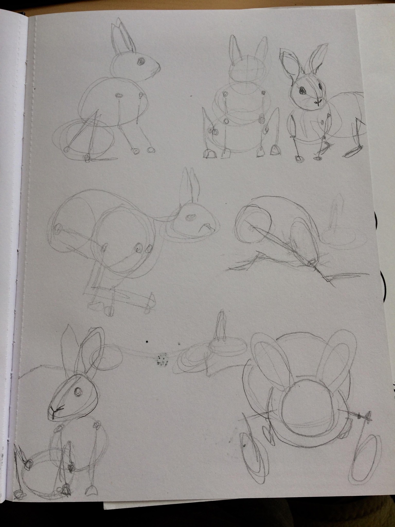 Animals - image 3 - student project