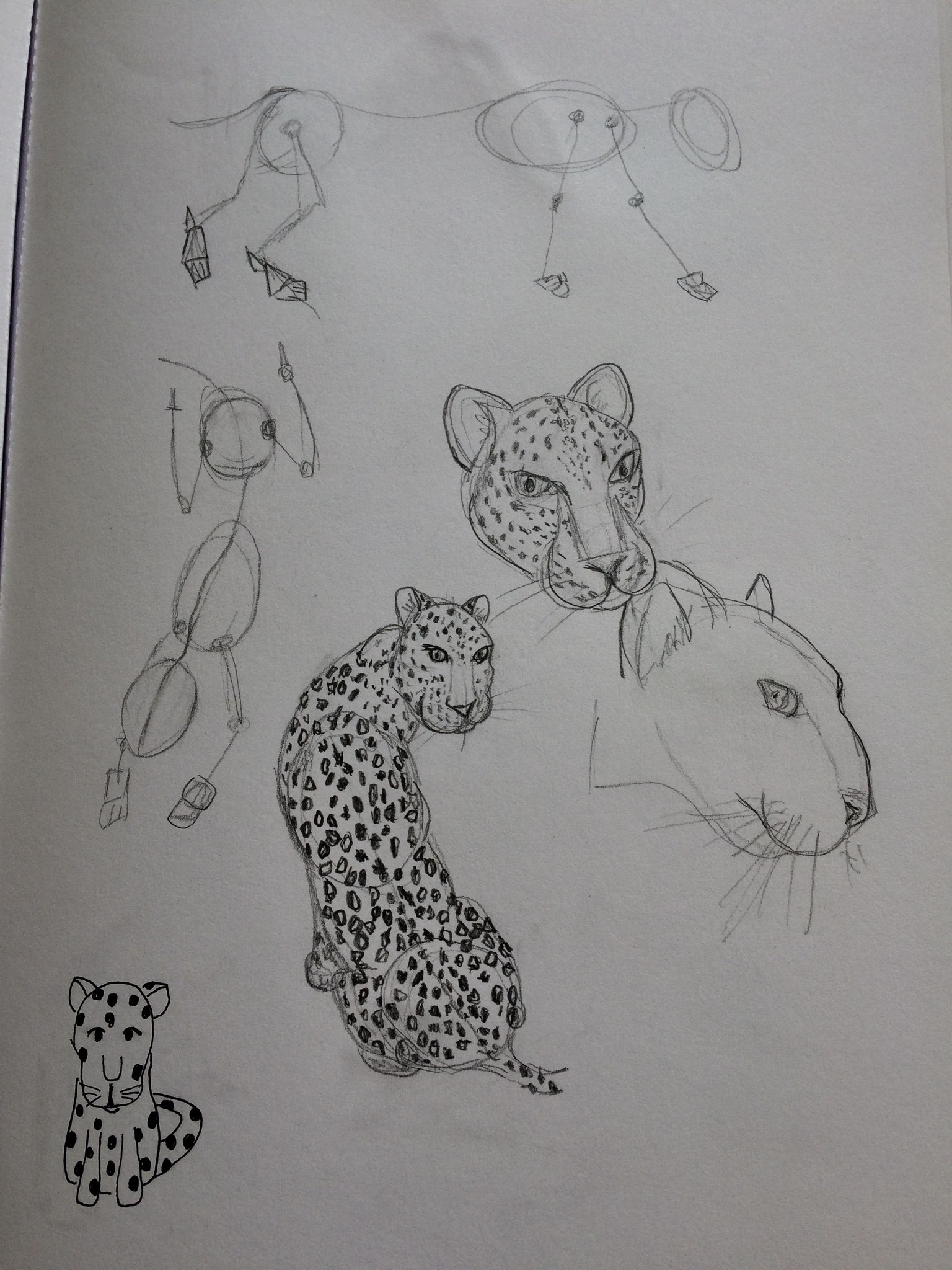 Animals - image 4 - student project