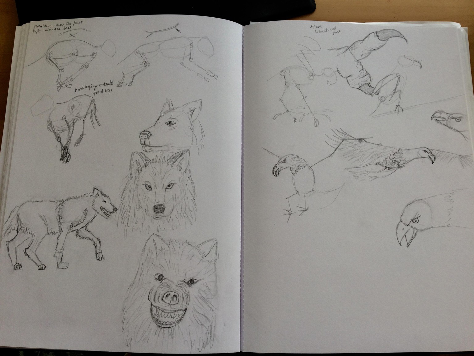 Animals - image 2 - student project