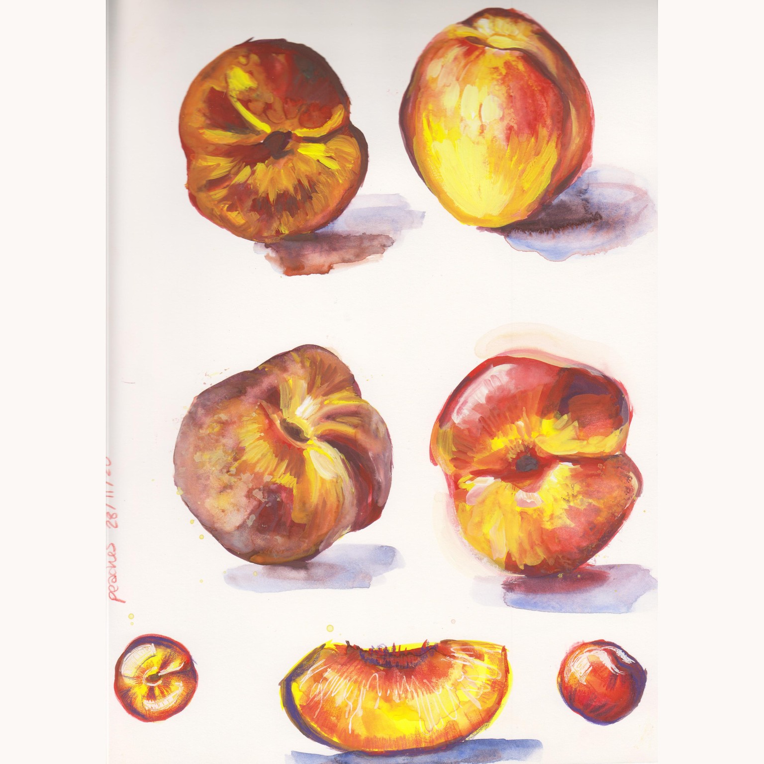 Learning About Gouache - image 1 - student project