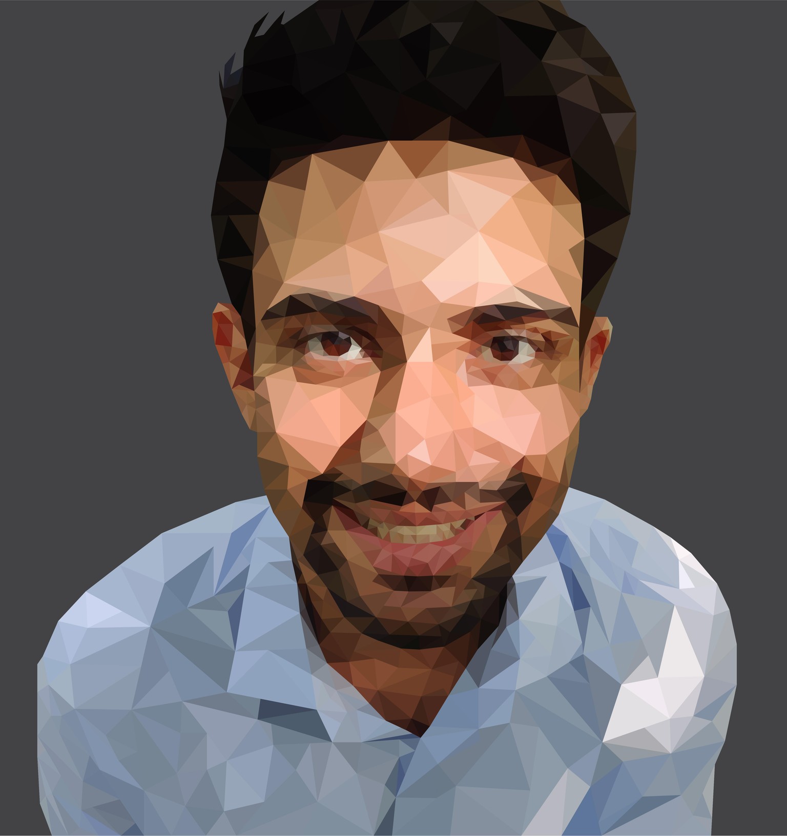Low Poly Portrait - image 1 - student project