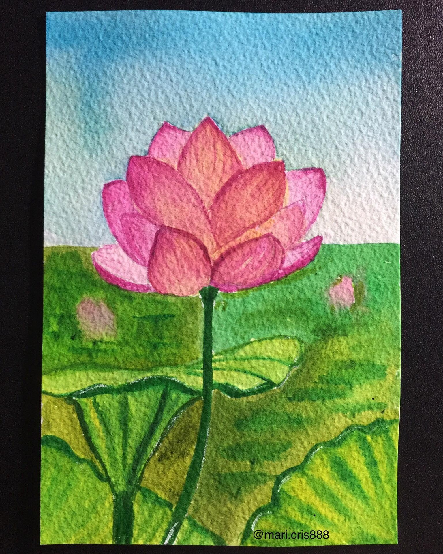 Lotus - image 1 - student project