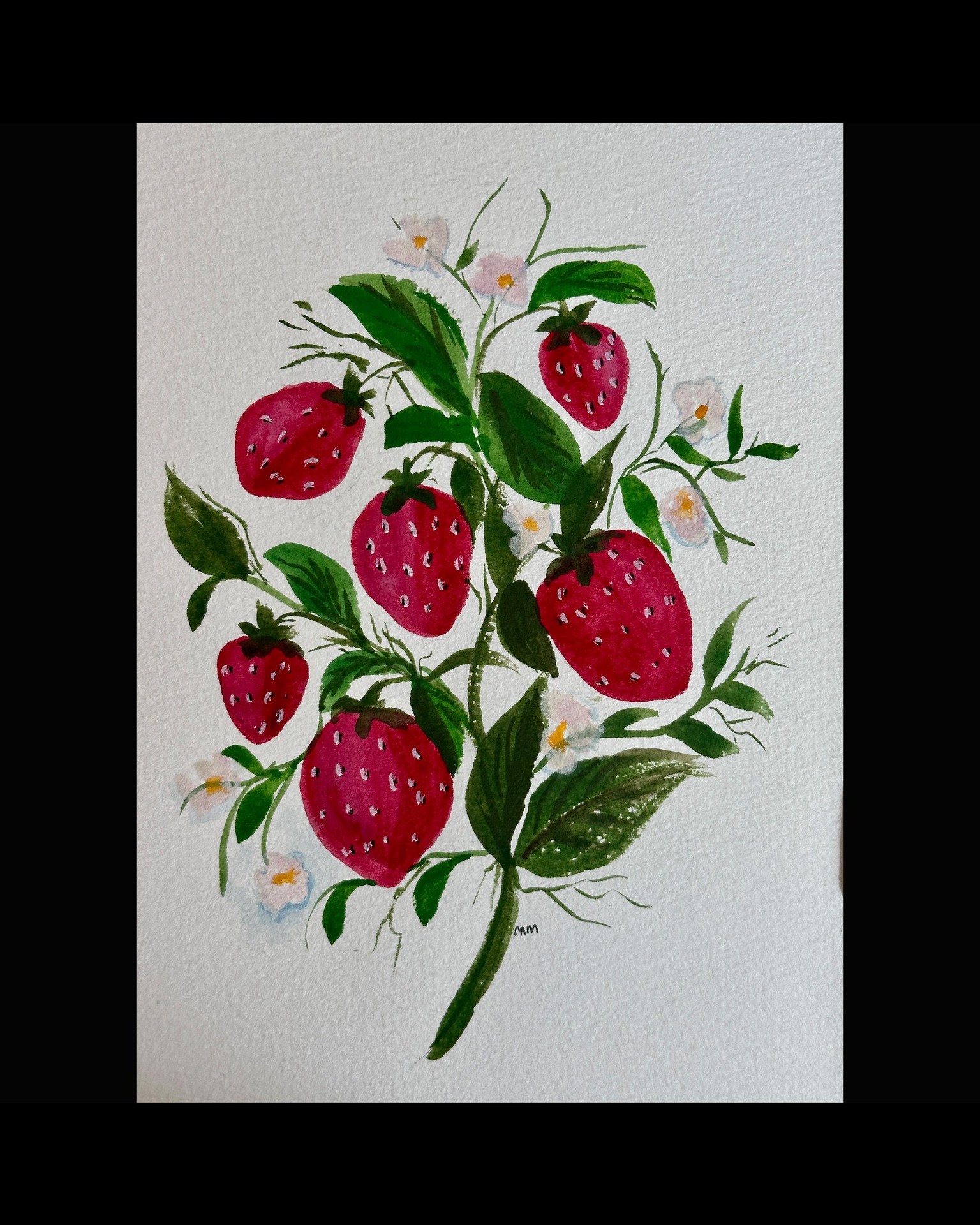 Lemons and strawberries - image 2 - student project