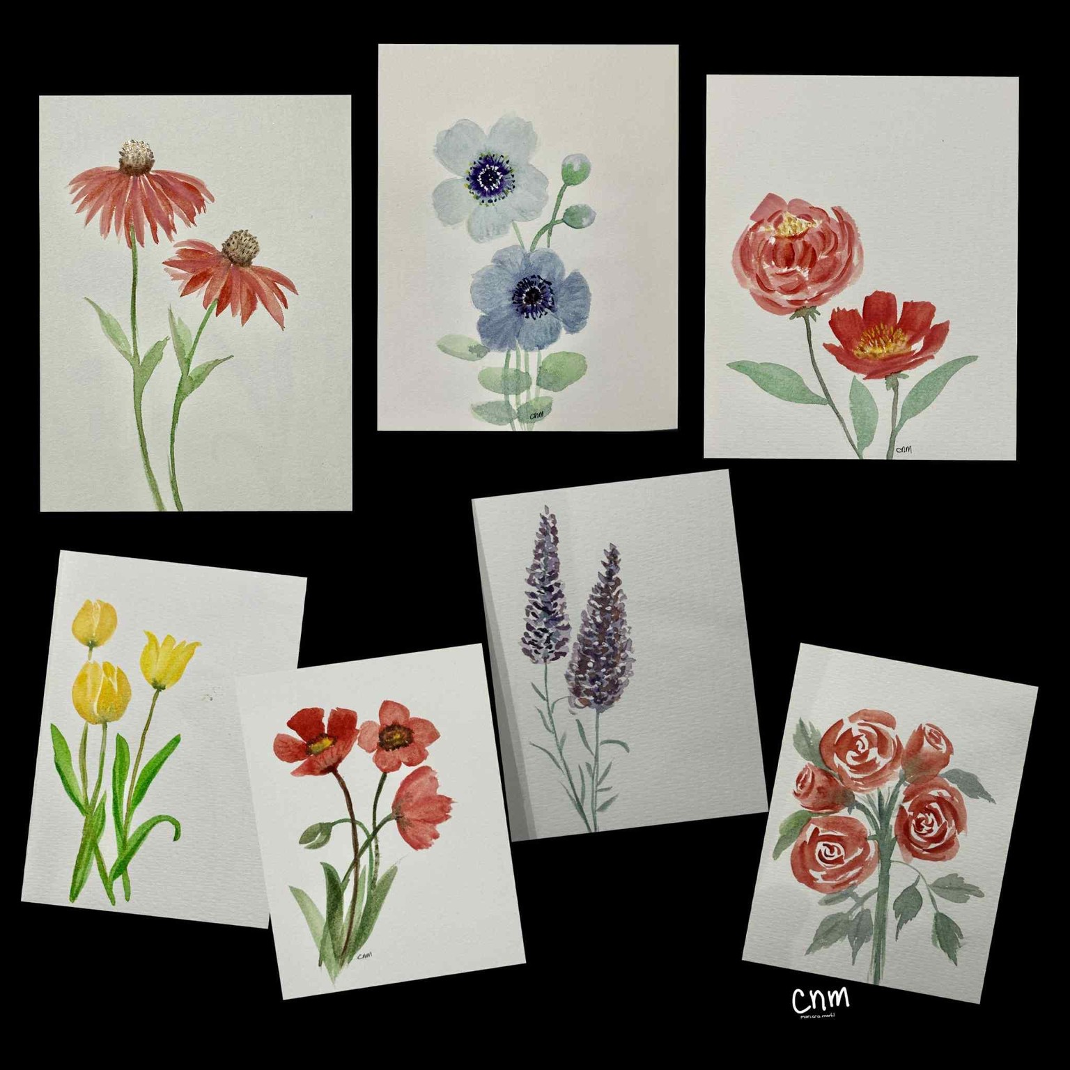 Floral practice - image 1 - student project