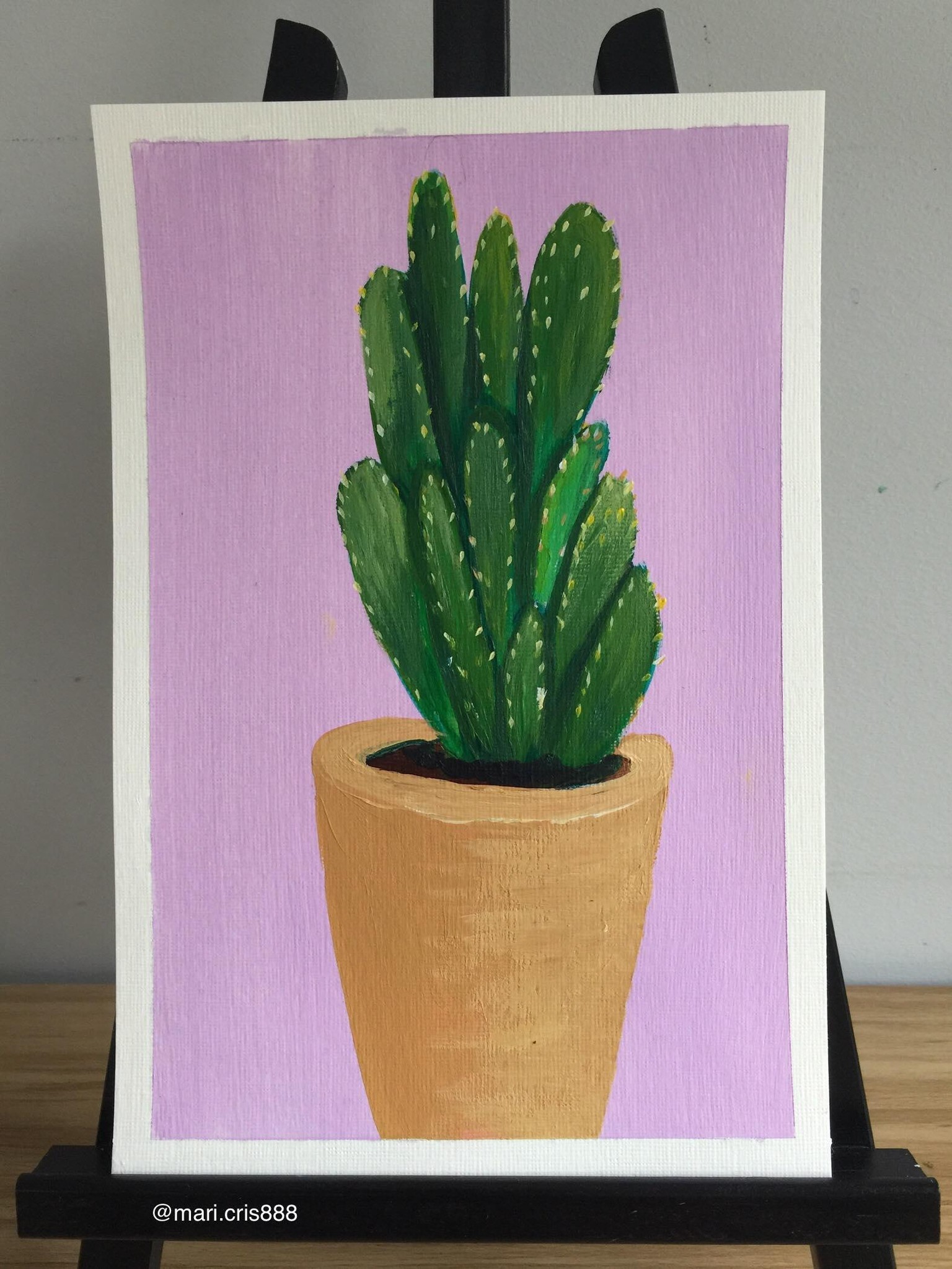 Cactus - image 1 - student project