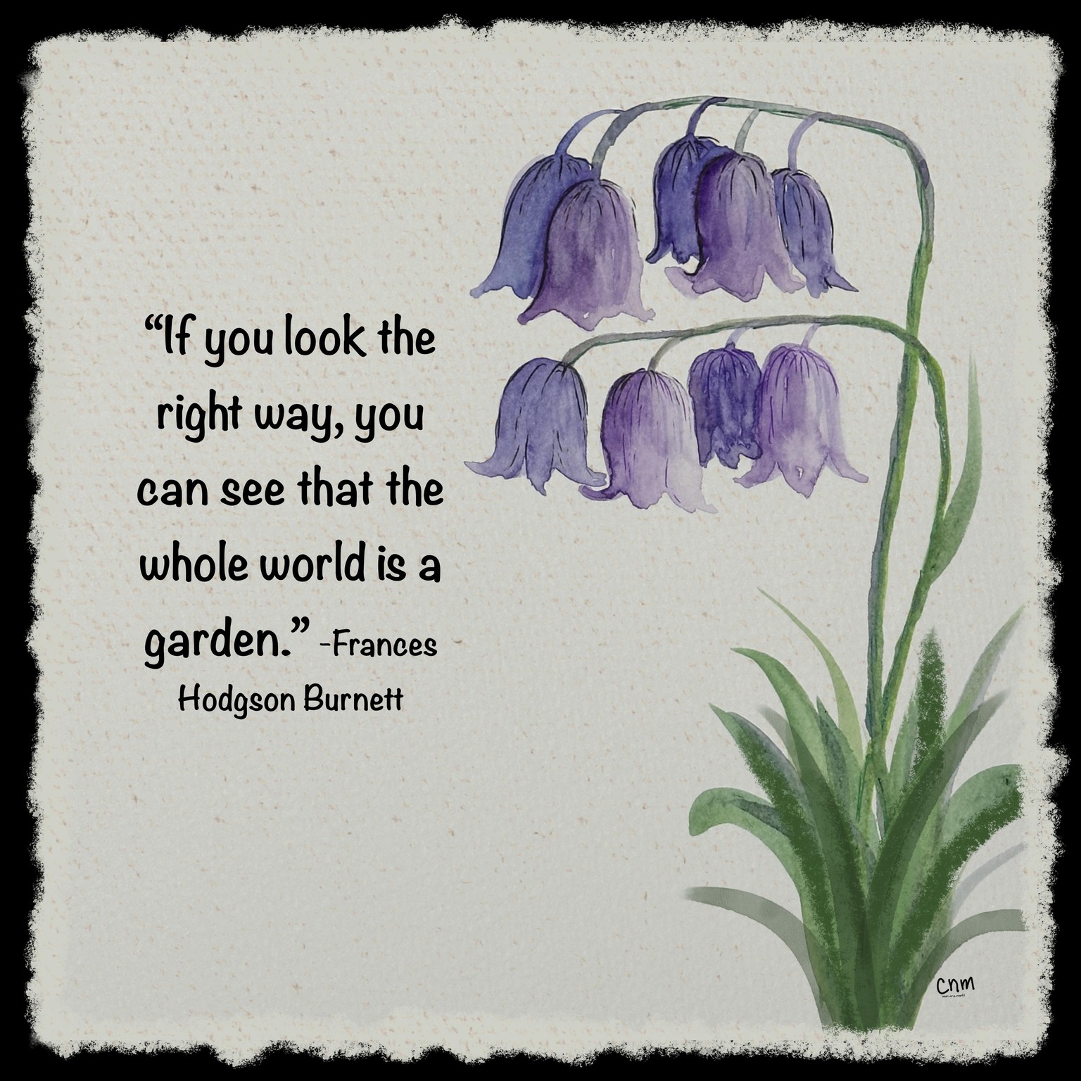 Wildflowers - image 2 - student project
