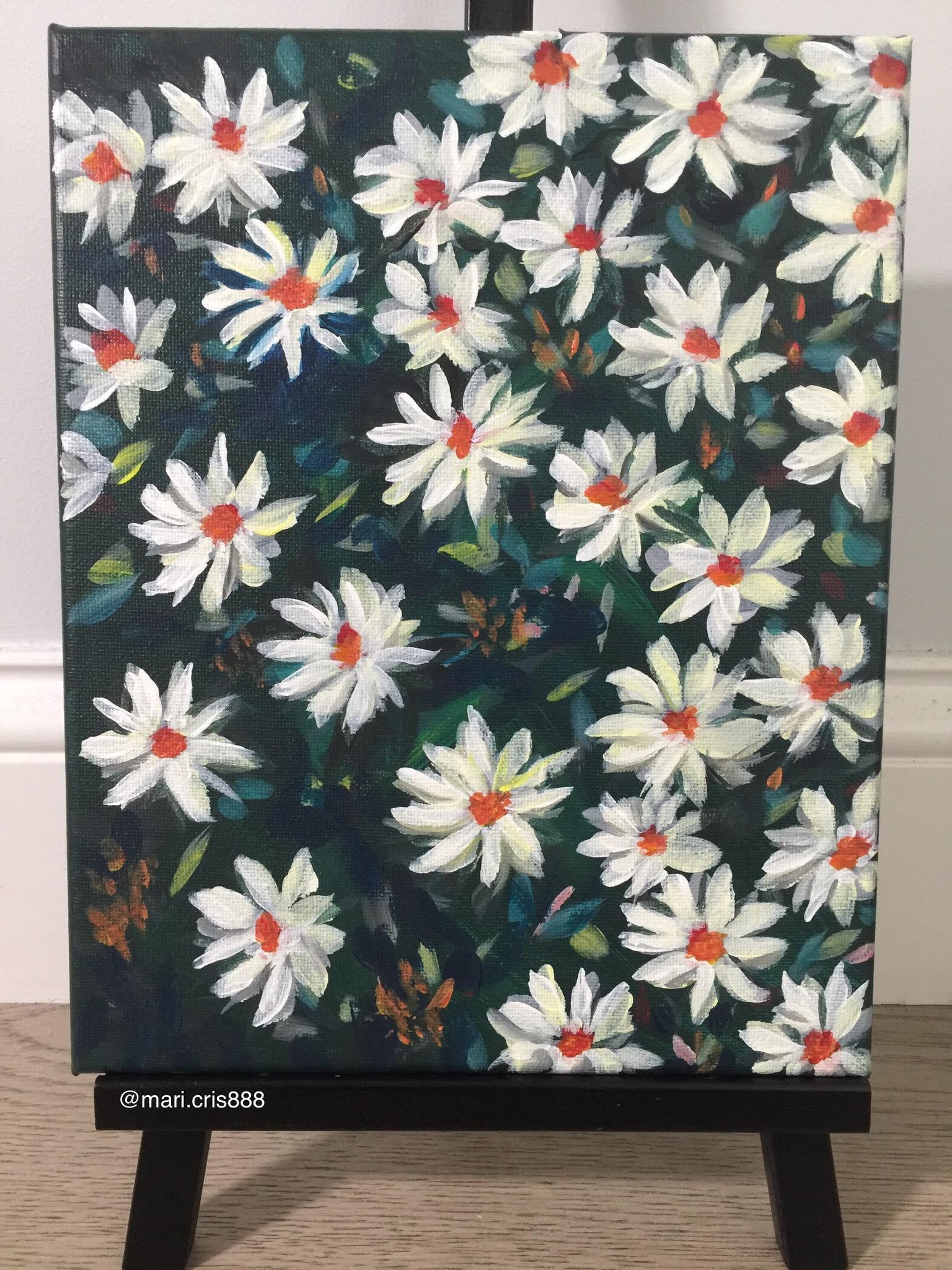 Daisies - image 1 - student project