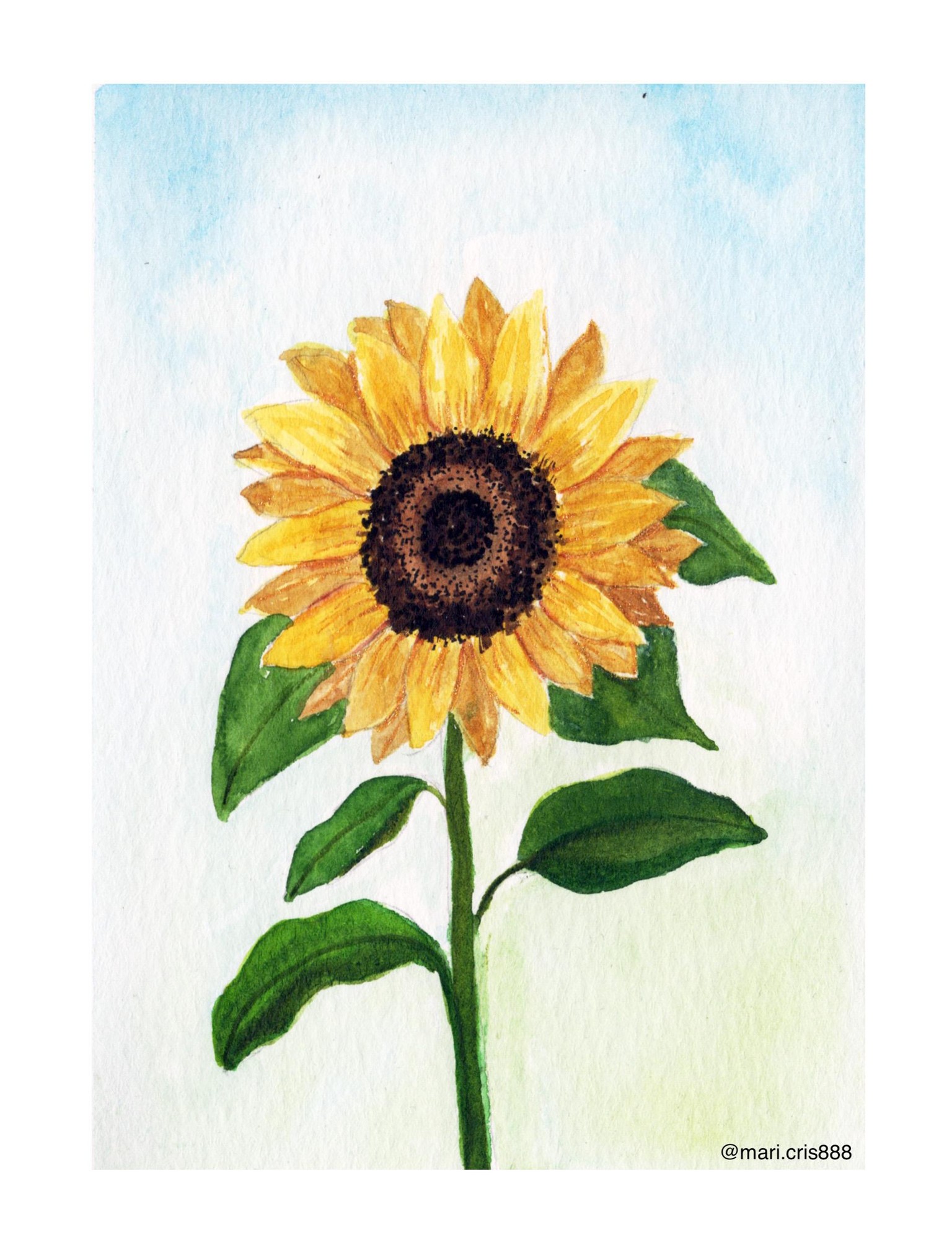 Floral - image 6 - student project