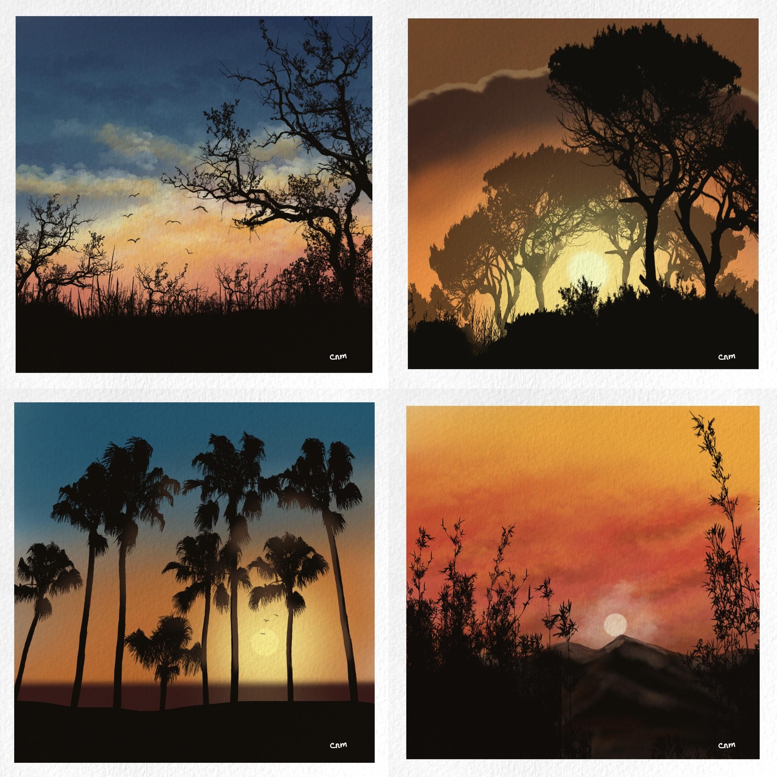 Beautiful skies - image 2 - student project