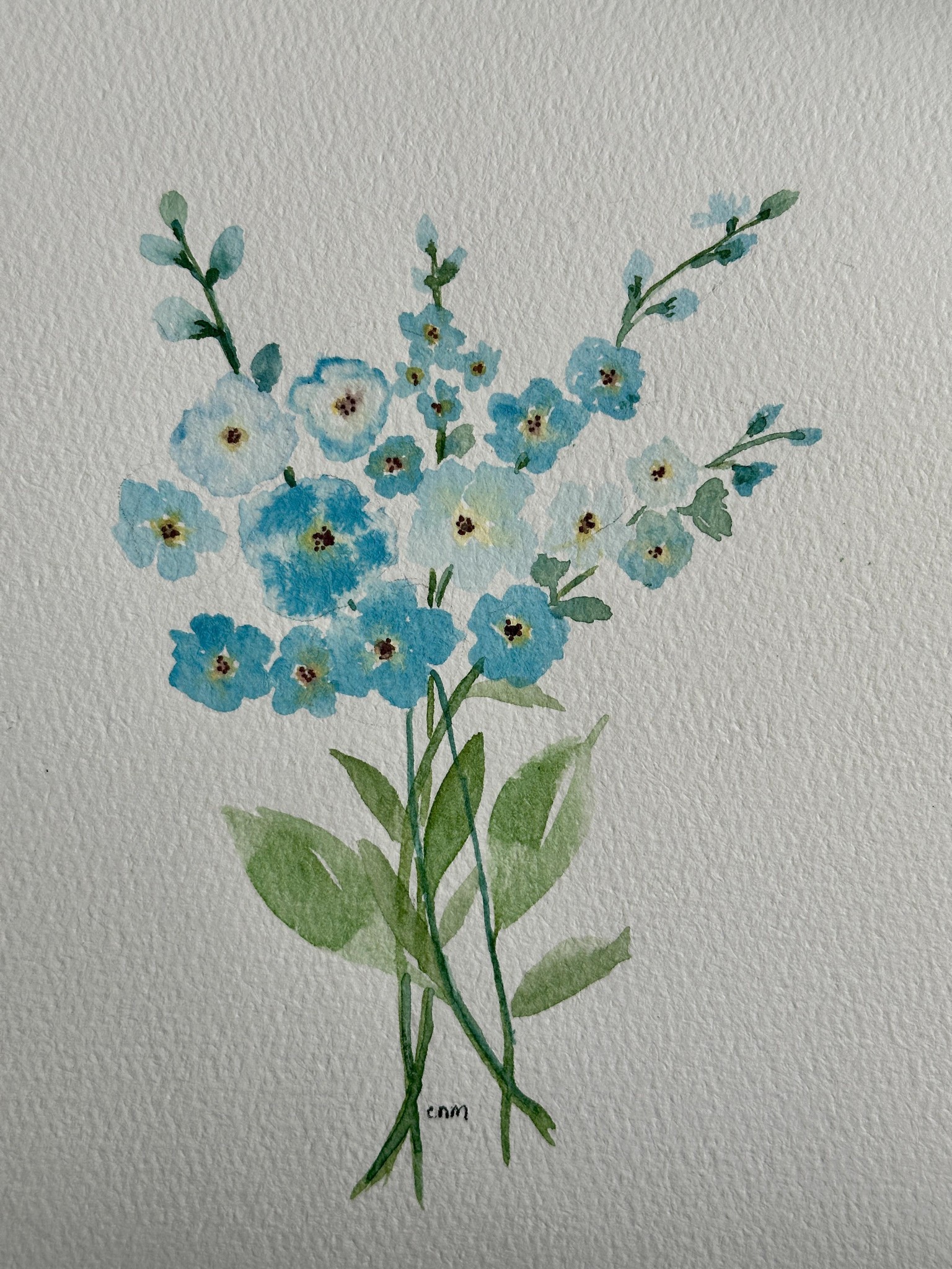 Forget me not flower - image 1 - student project