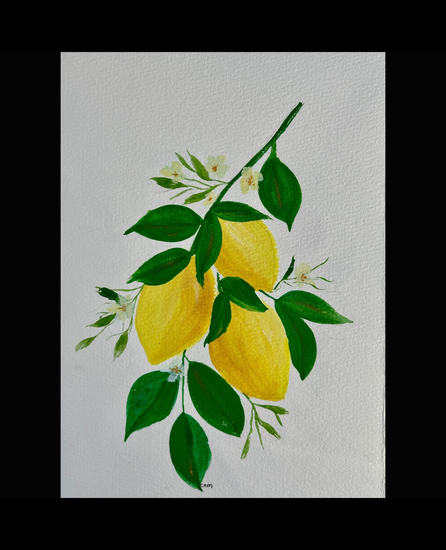 Lemons and strawberries - image 1 - student project