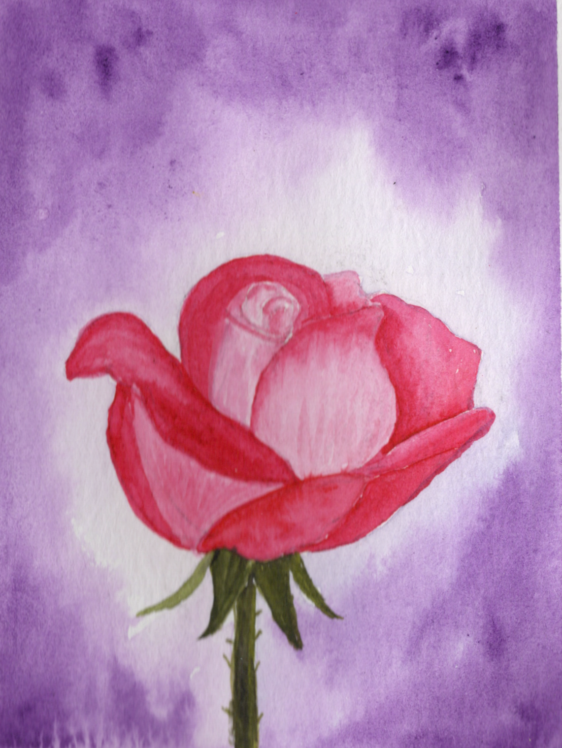 Floral - image 2 - student project