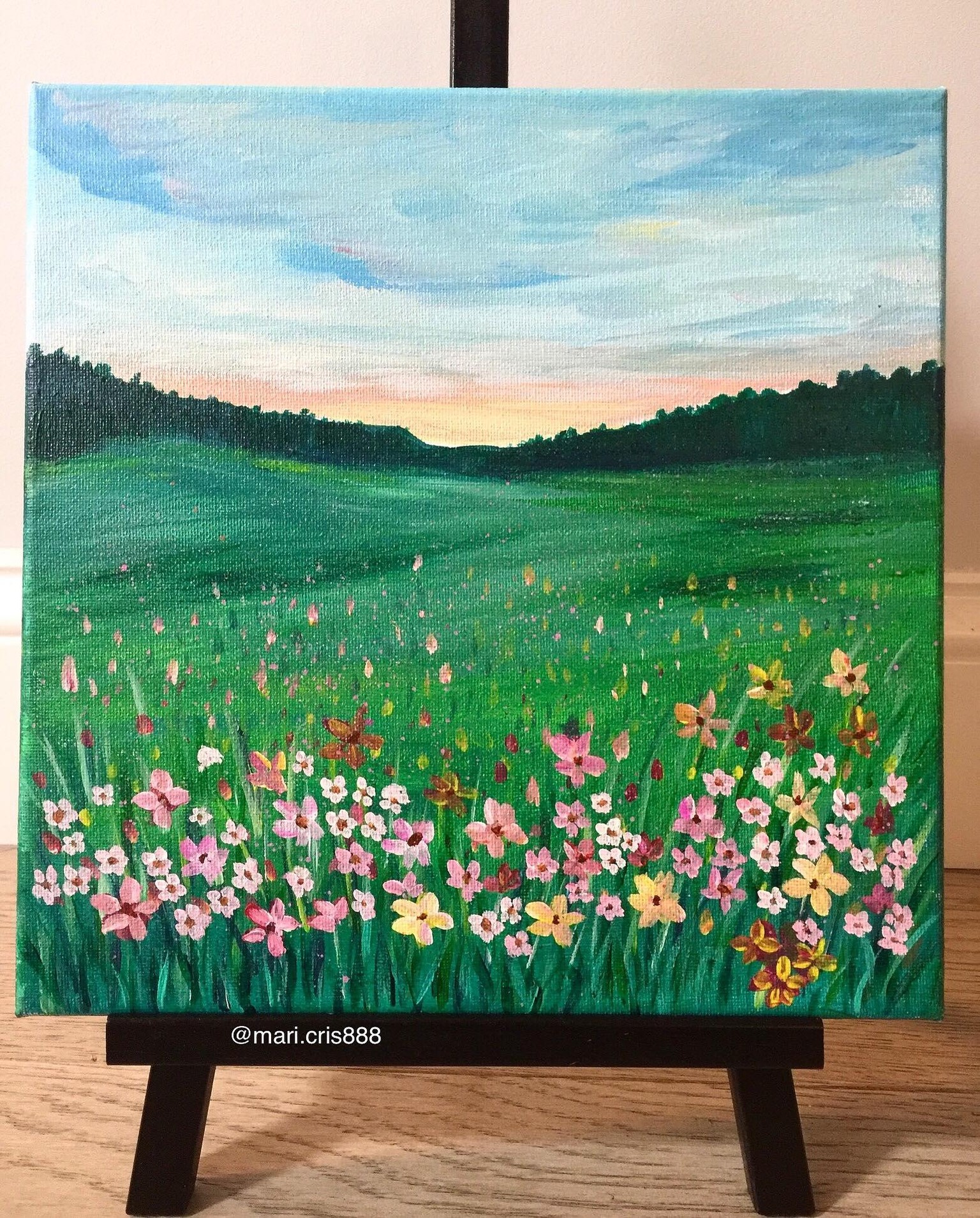 Floral field - image 1 - student project