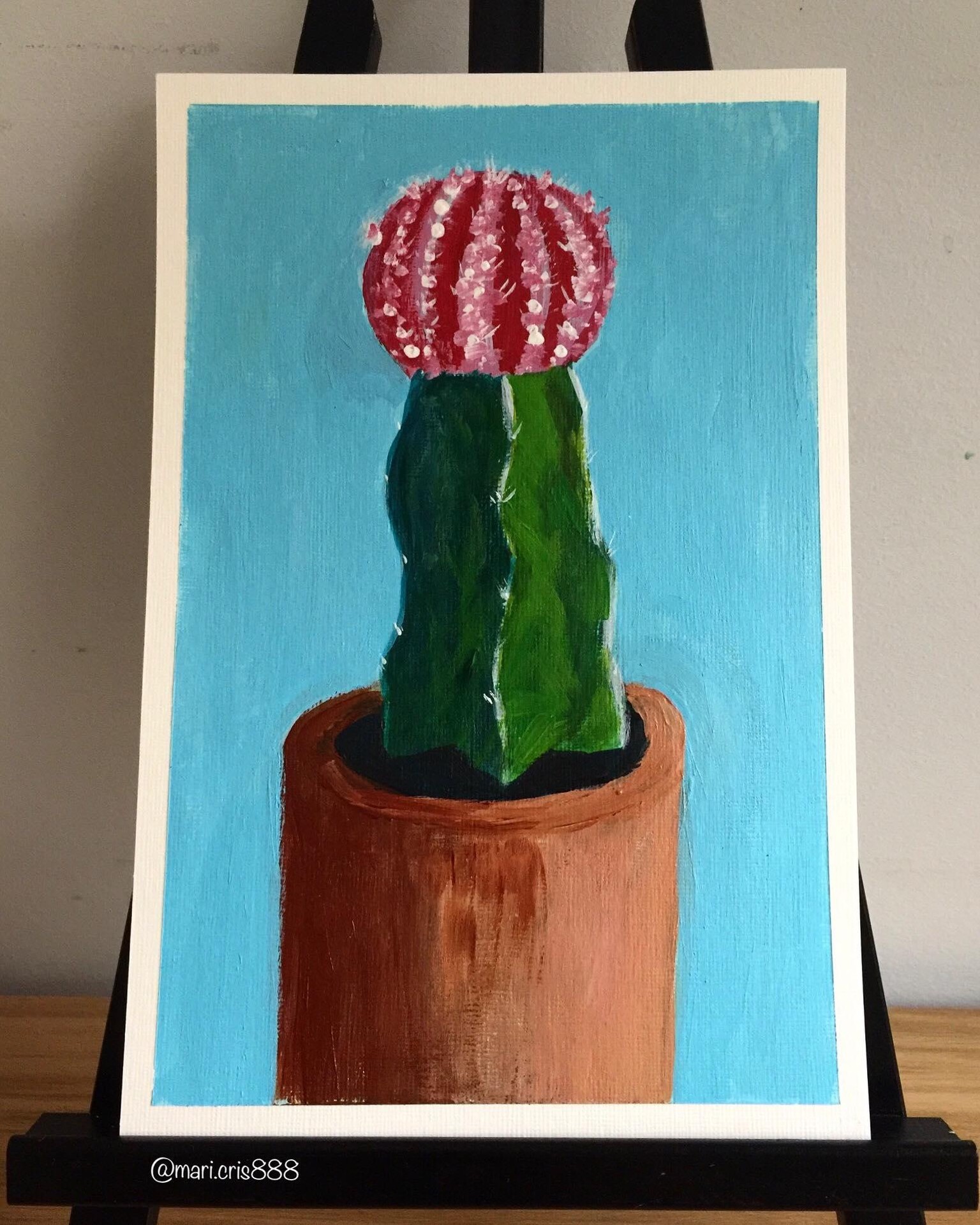 Cactus - image 4 - student project