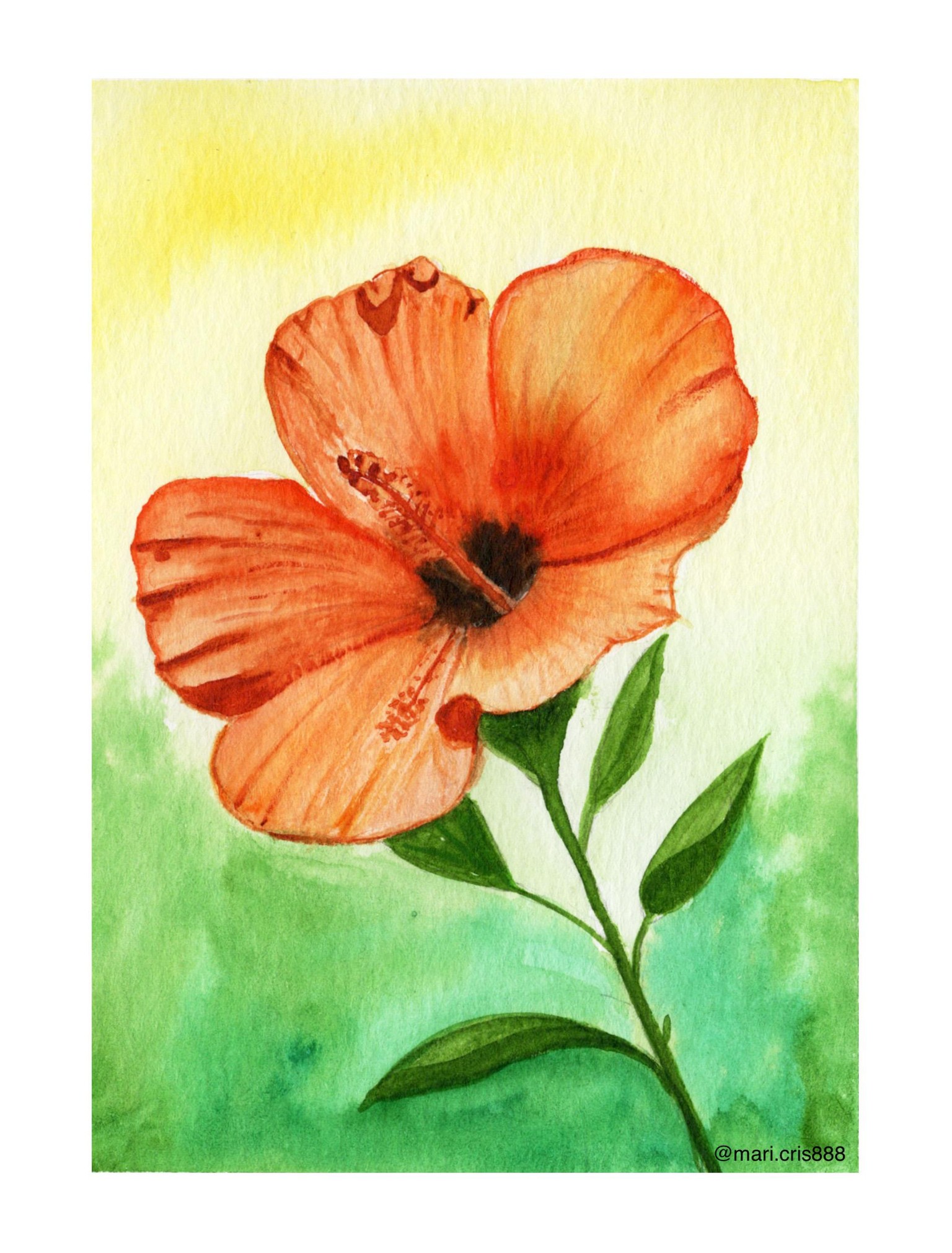 Floral - image 5 - student project