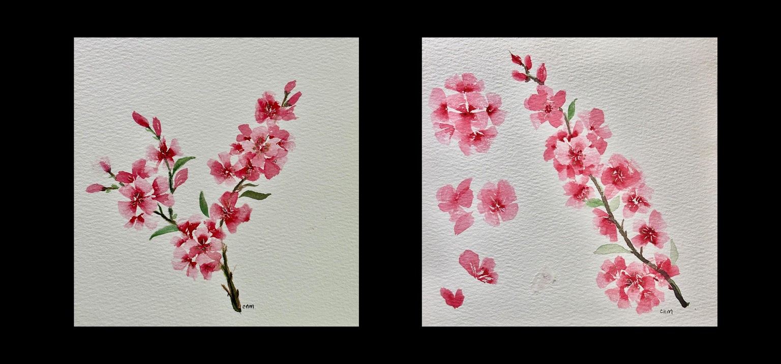 Cheery Blossoms - image 1 - student project