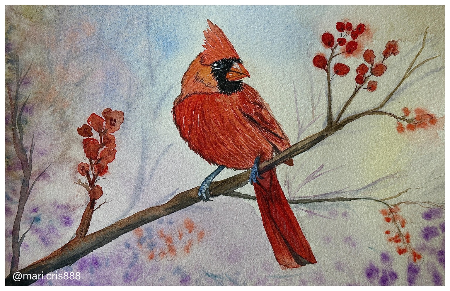 Cardinal bird - image 1 - student project