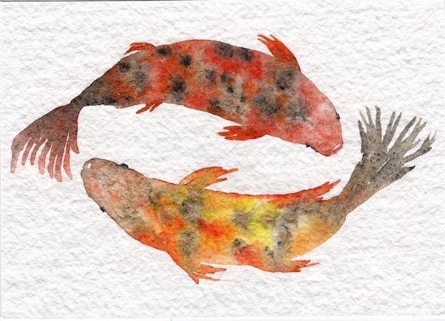 Koi fish - image 1 - student project