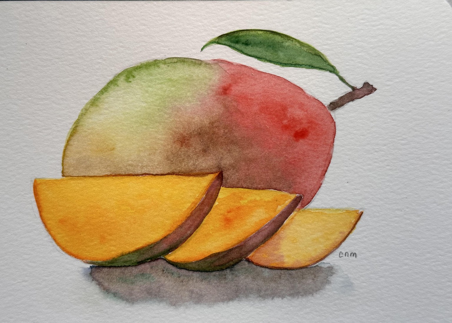 Mango - image 1 - student project