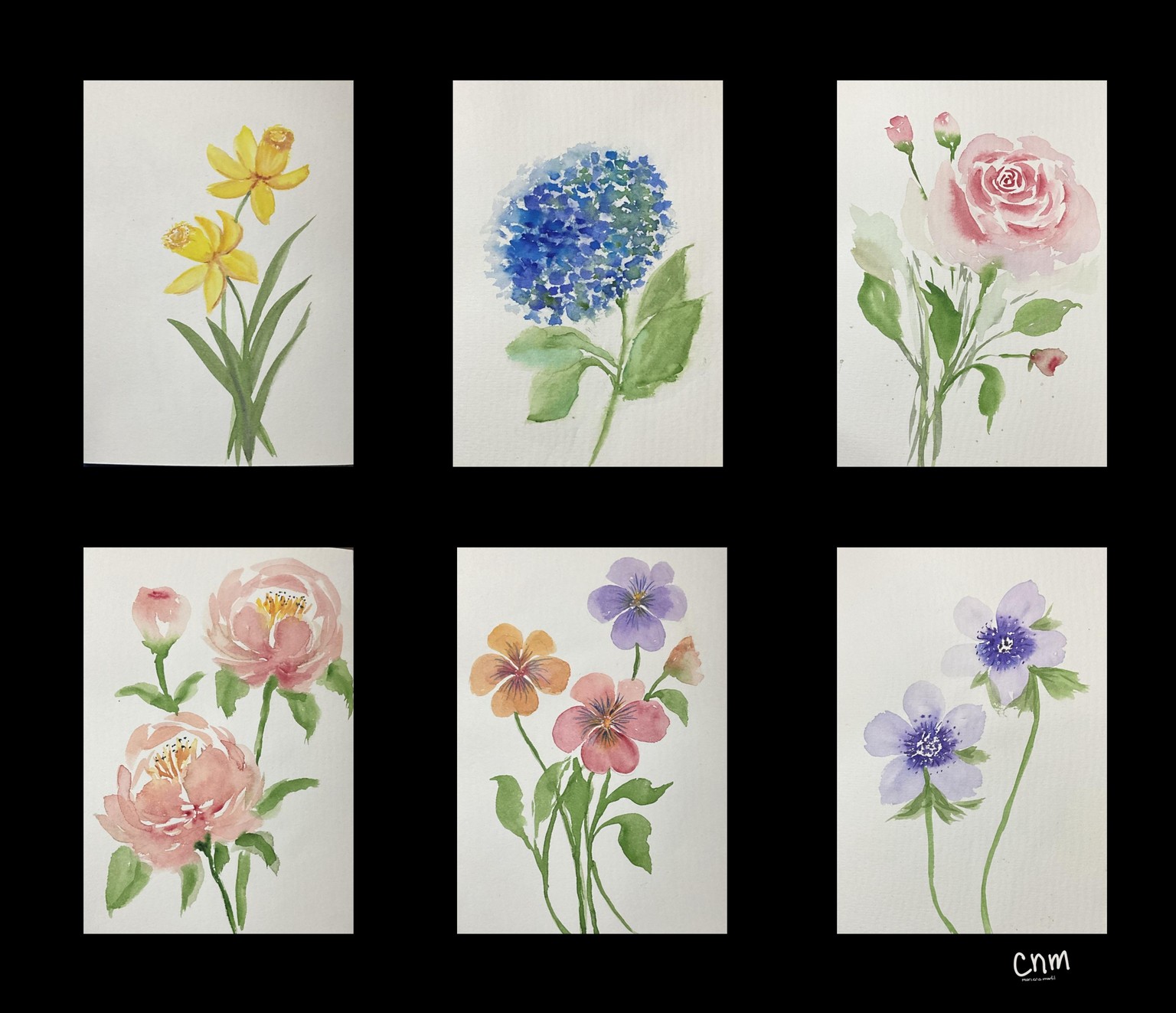 Floral practice - image 1 - student project