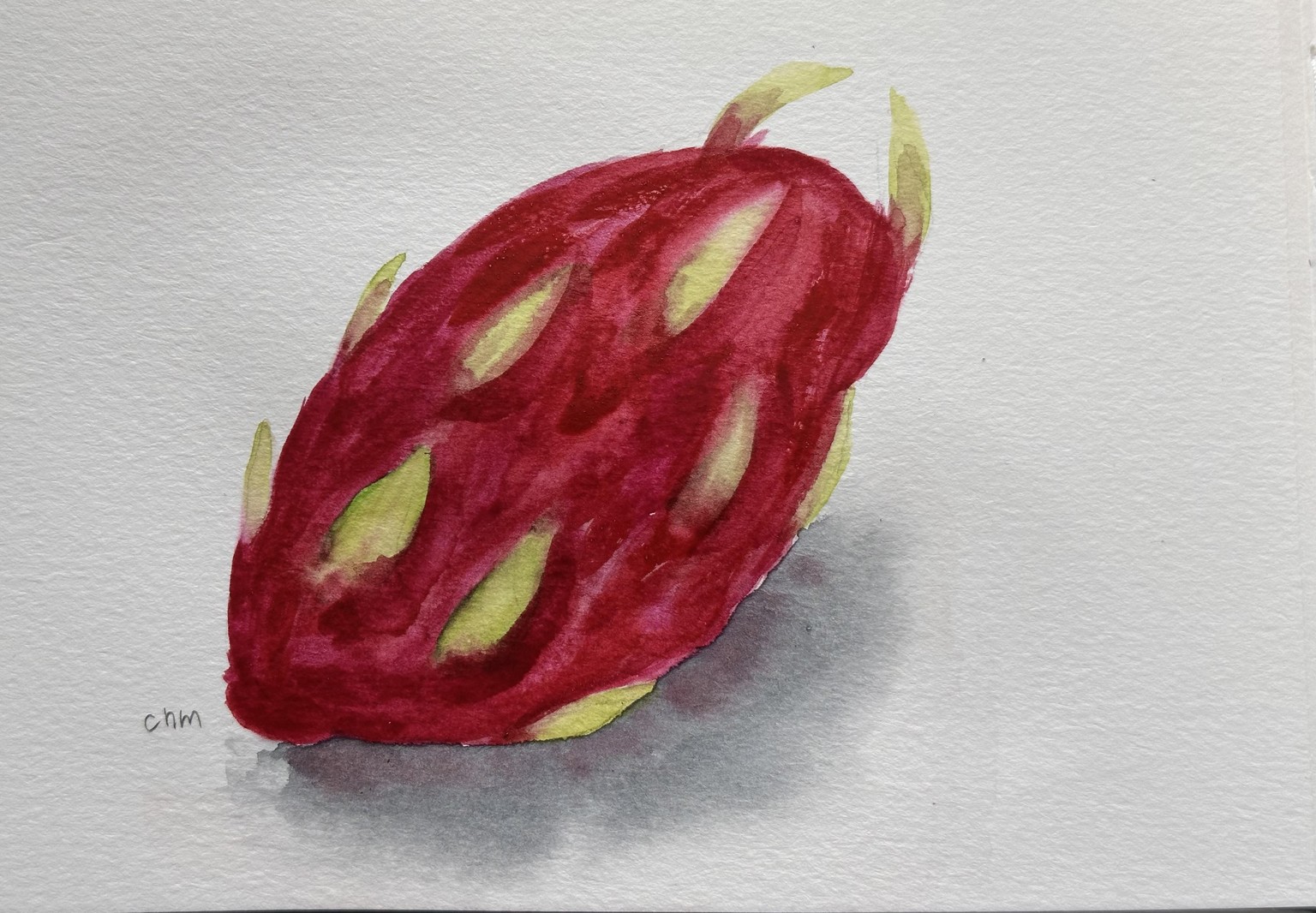 Dragon fruit - image 1 - student project