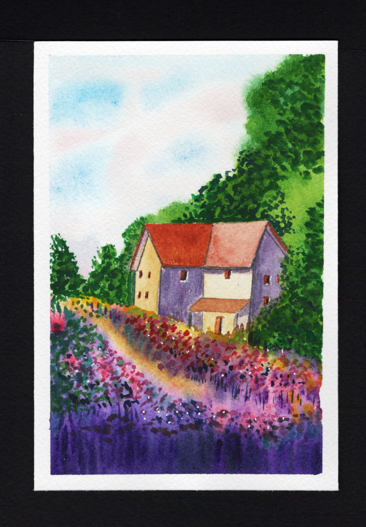house and floral garden - image 1 - student project