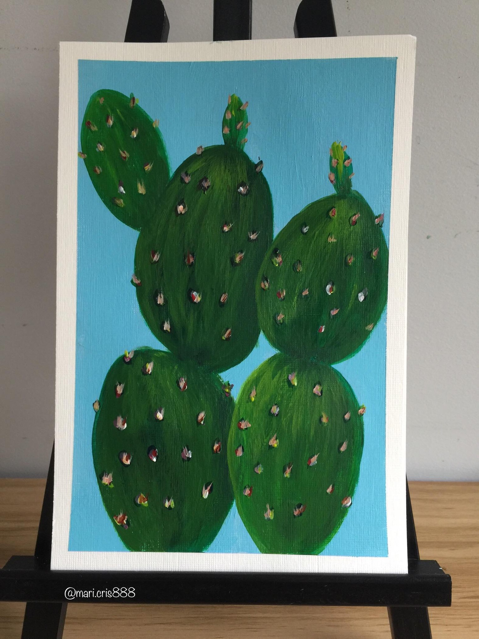 Cactus - image 2 - student project
