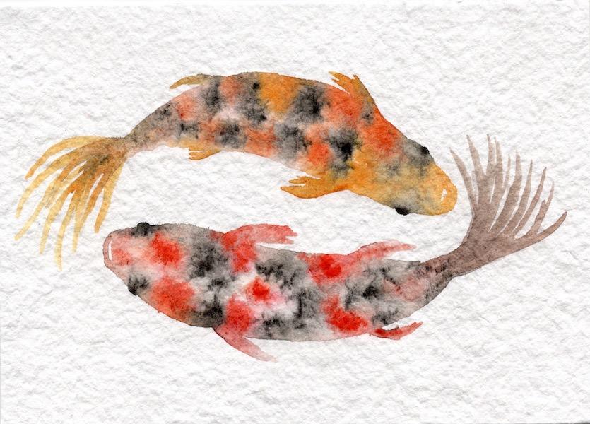Koi fish - image 2 - student project