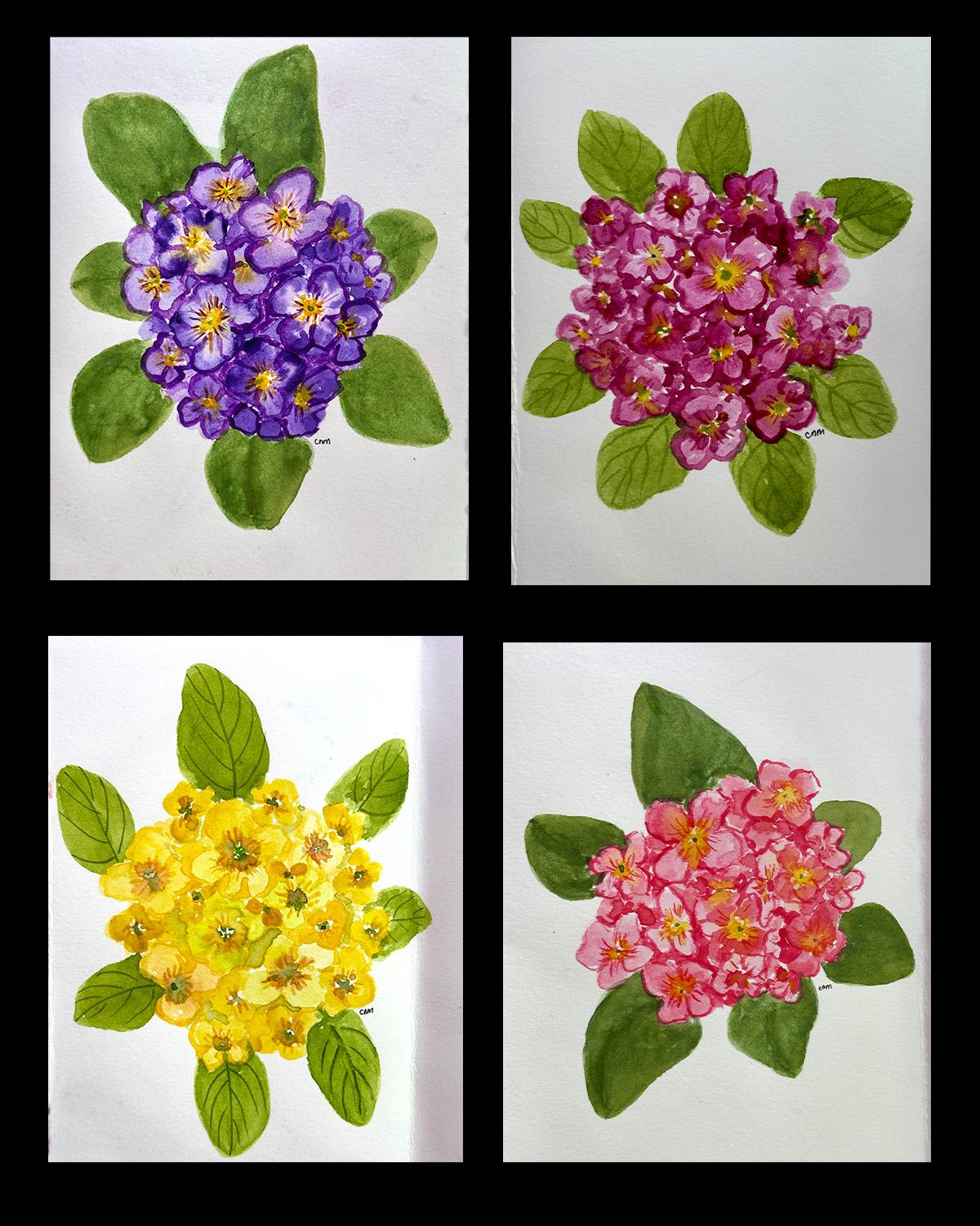Primrose - image 1 - student project