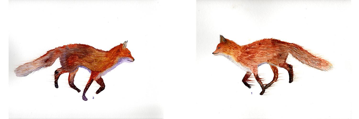 Foxy - image 1 - student project