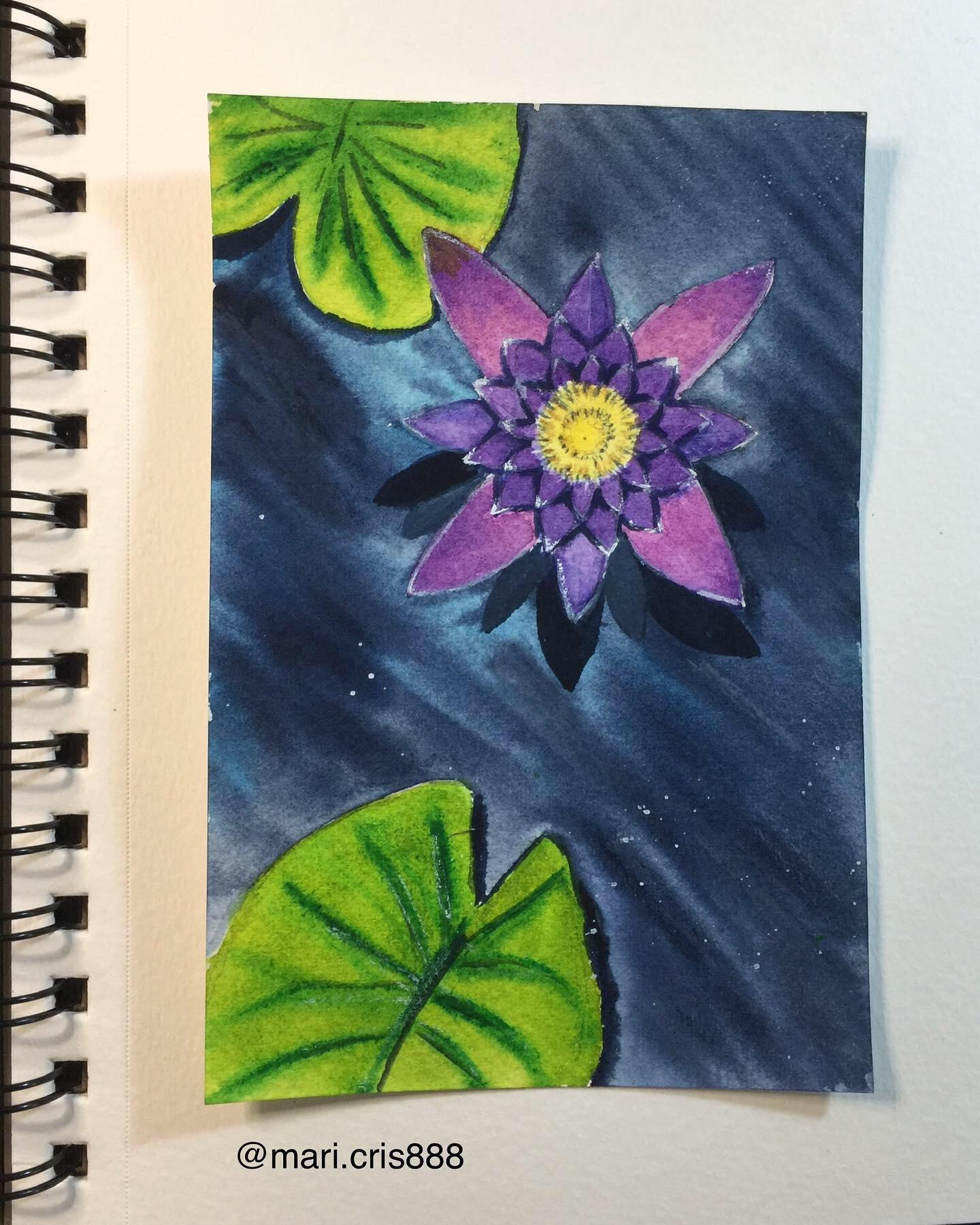Lotus - image 2 - student project