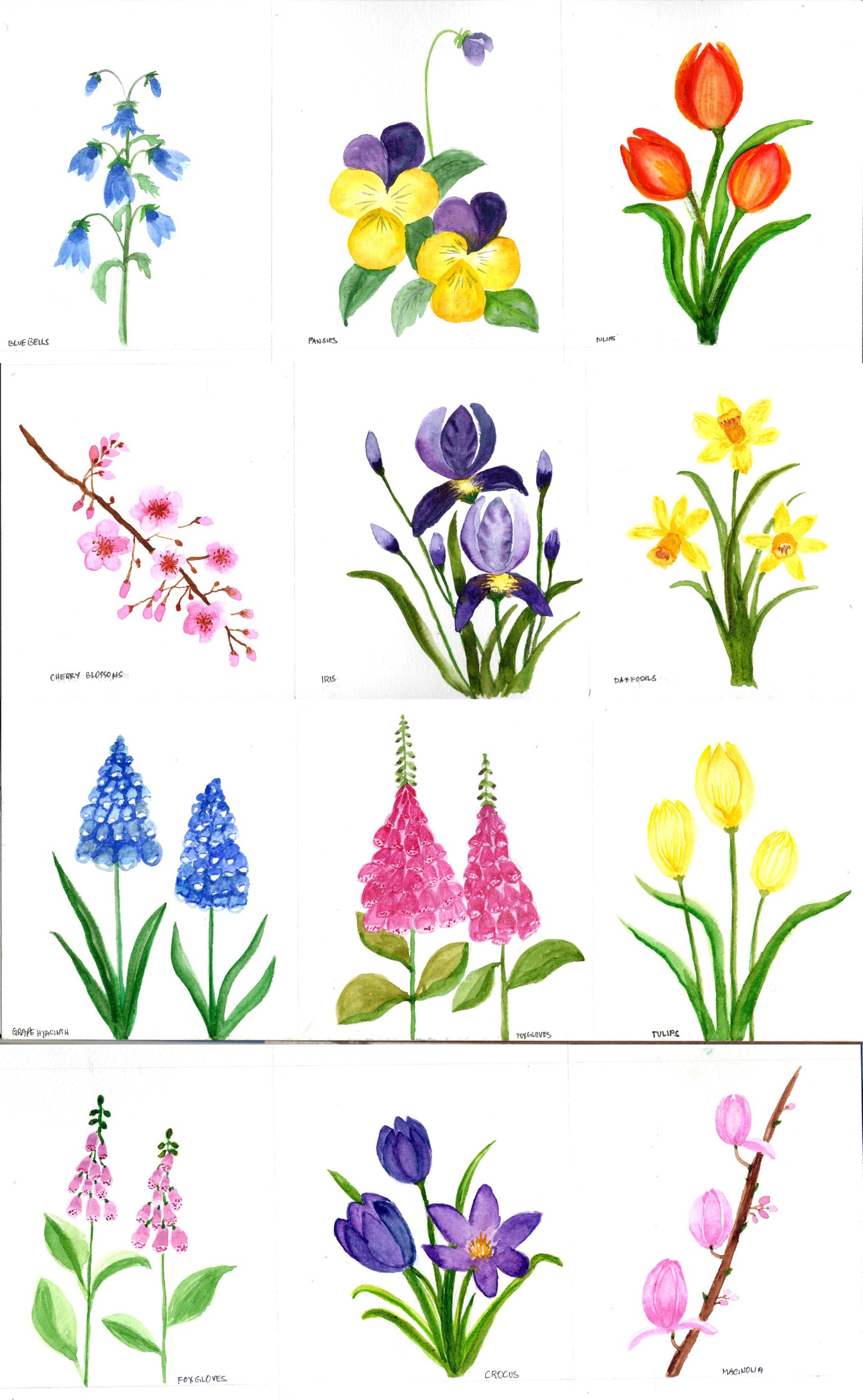 Spring flowers - image 1 - student project
