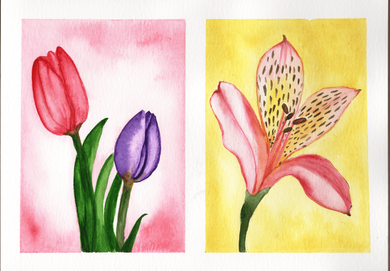 Floral - image 8 - student project