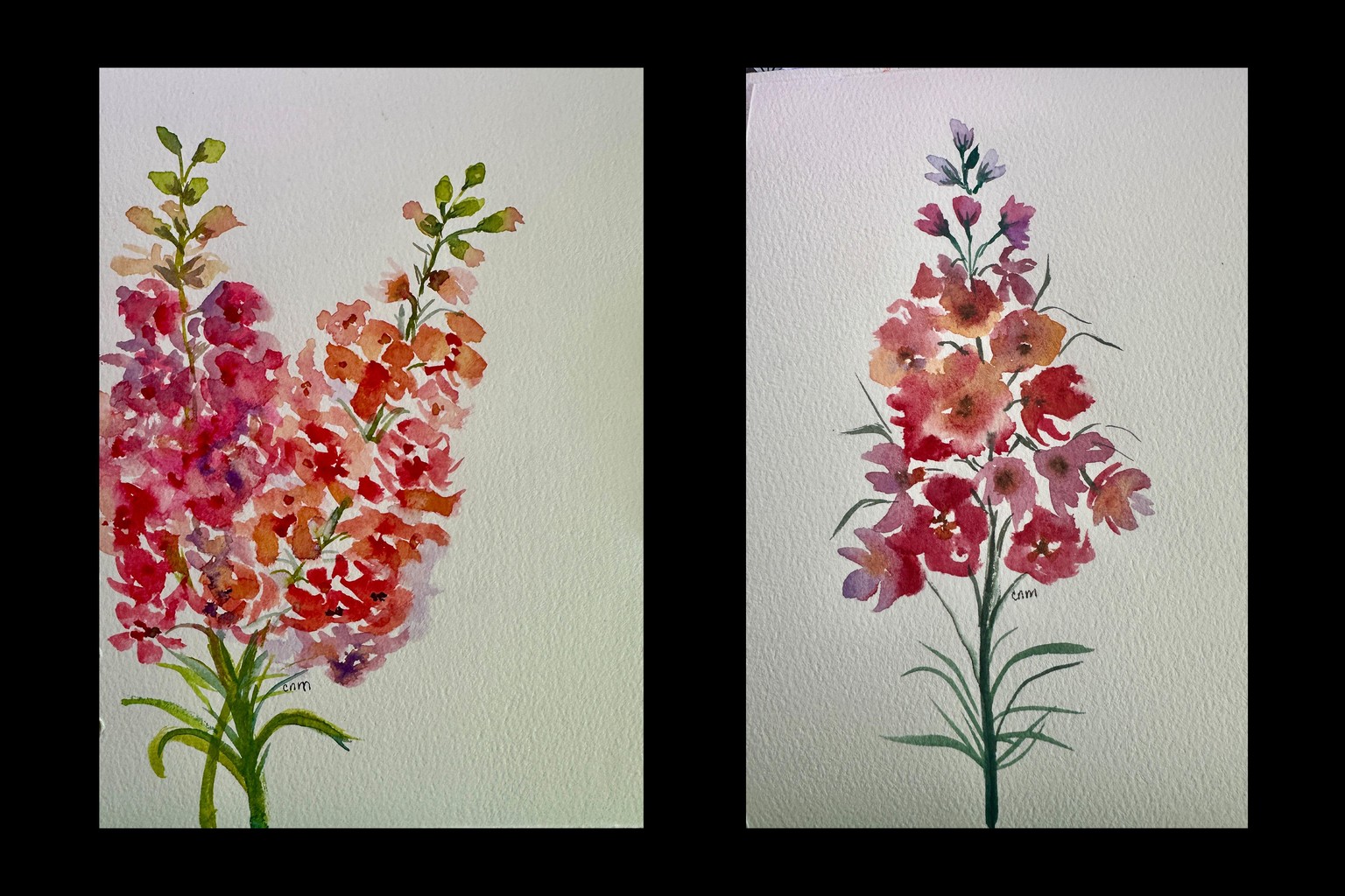 Snapdragon flowers - image 1 - student project