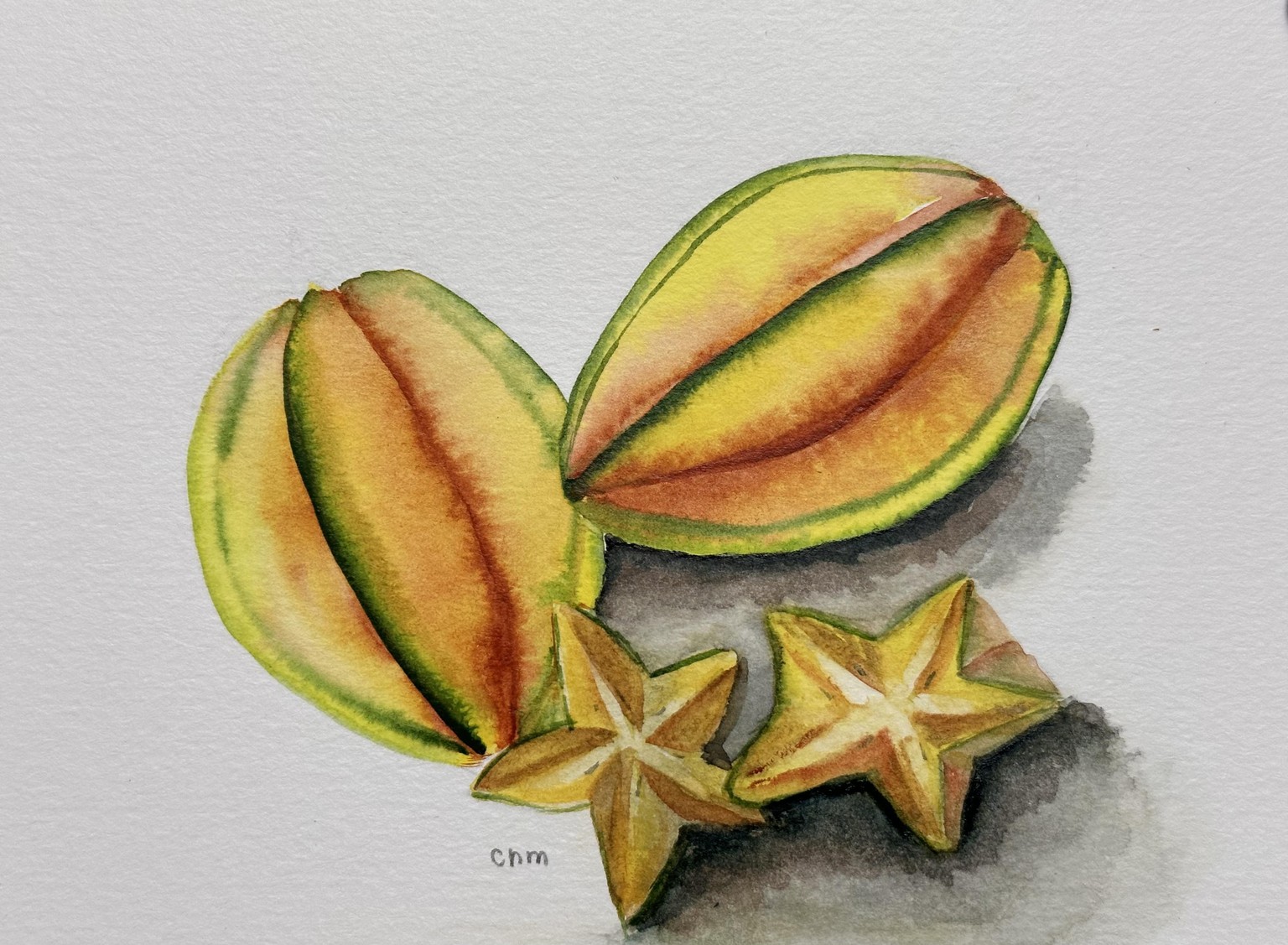 Star fruit - image 1 - student project