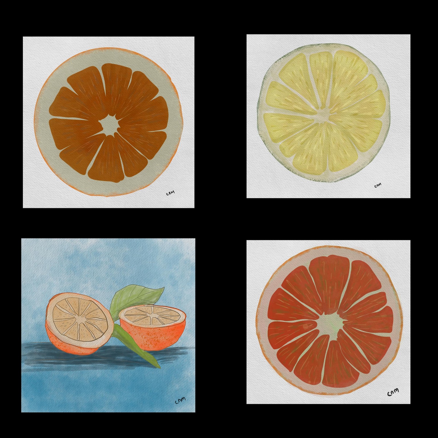 Citrus in procreate - image 1 - student project