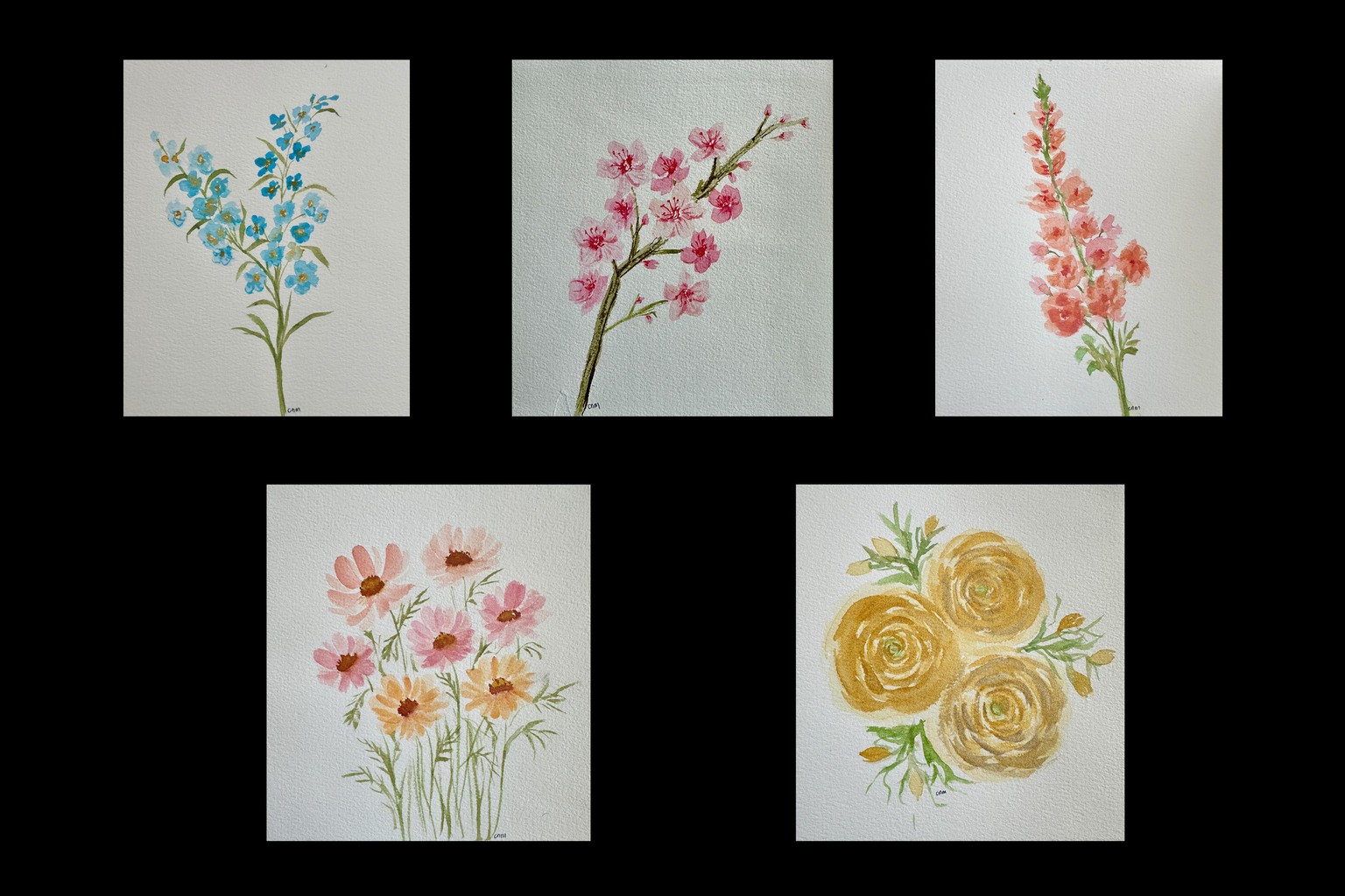 spring flowers - image 1 - student project