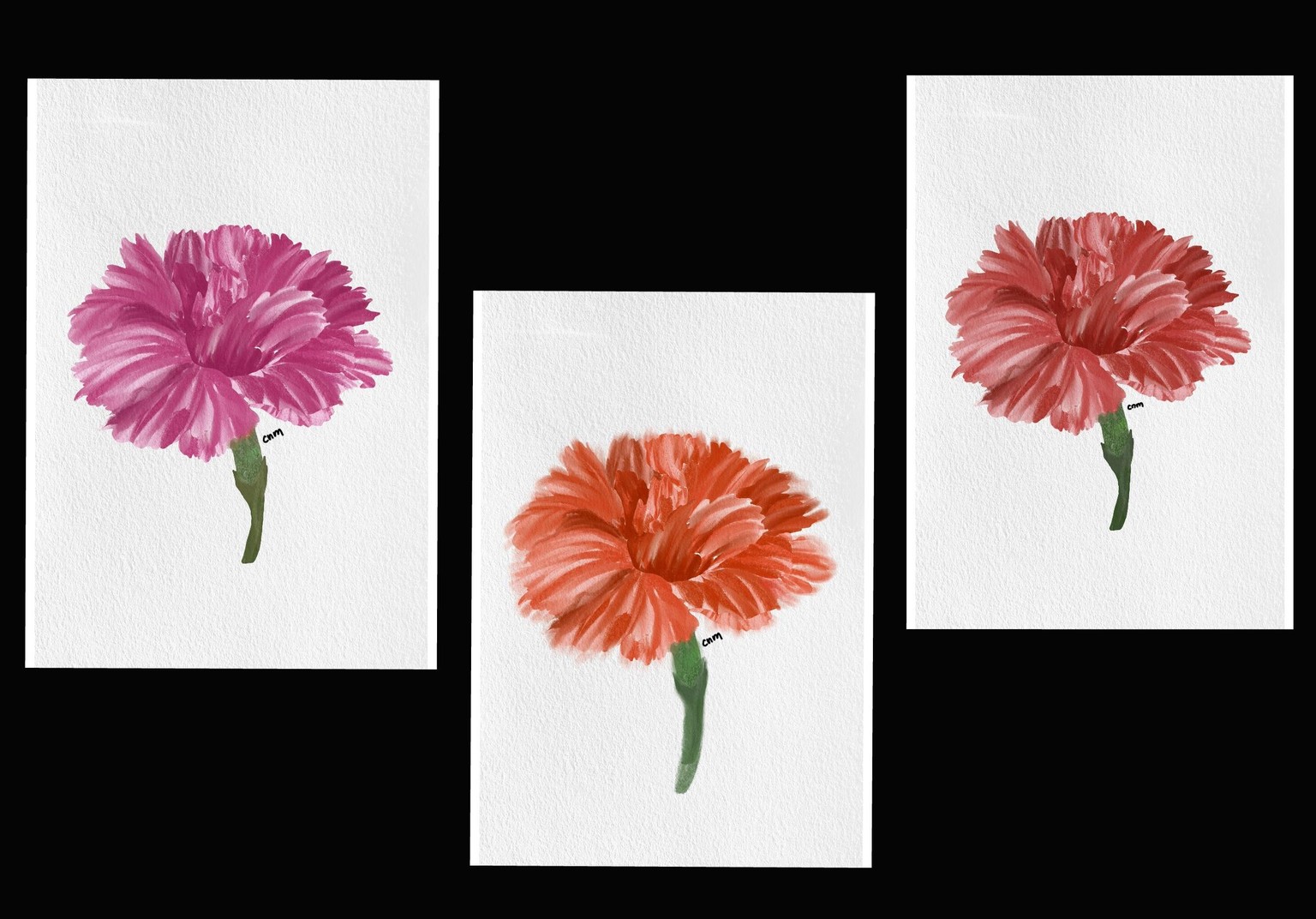 carnation - image 1 - student project