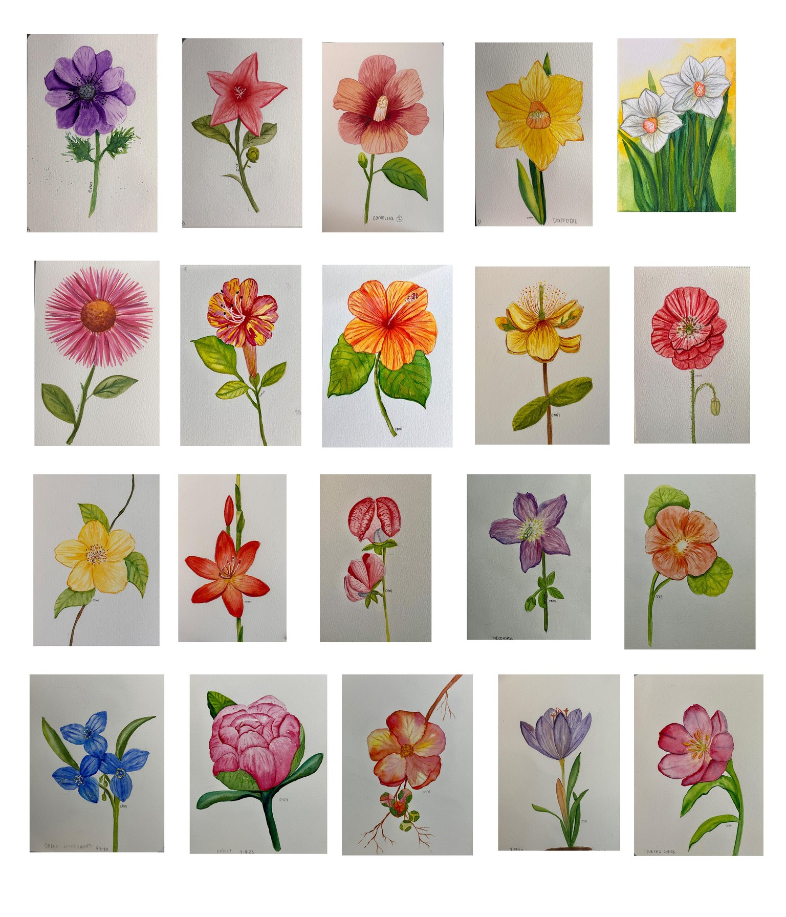 Flowers - image 1 - student project