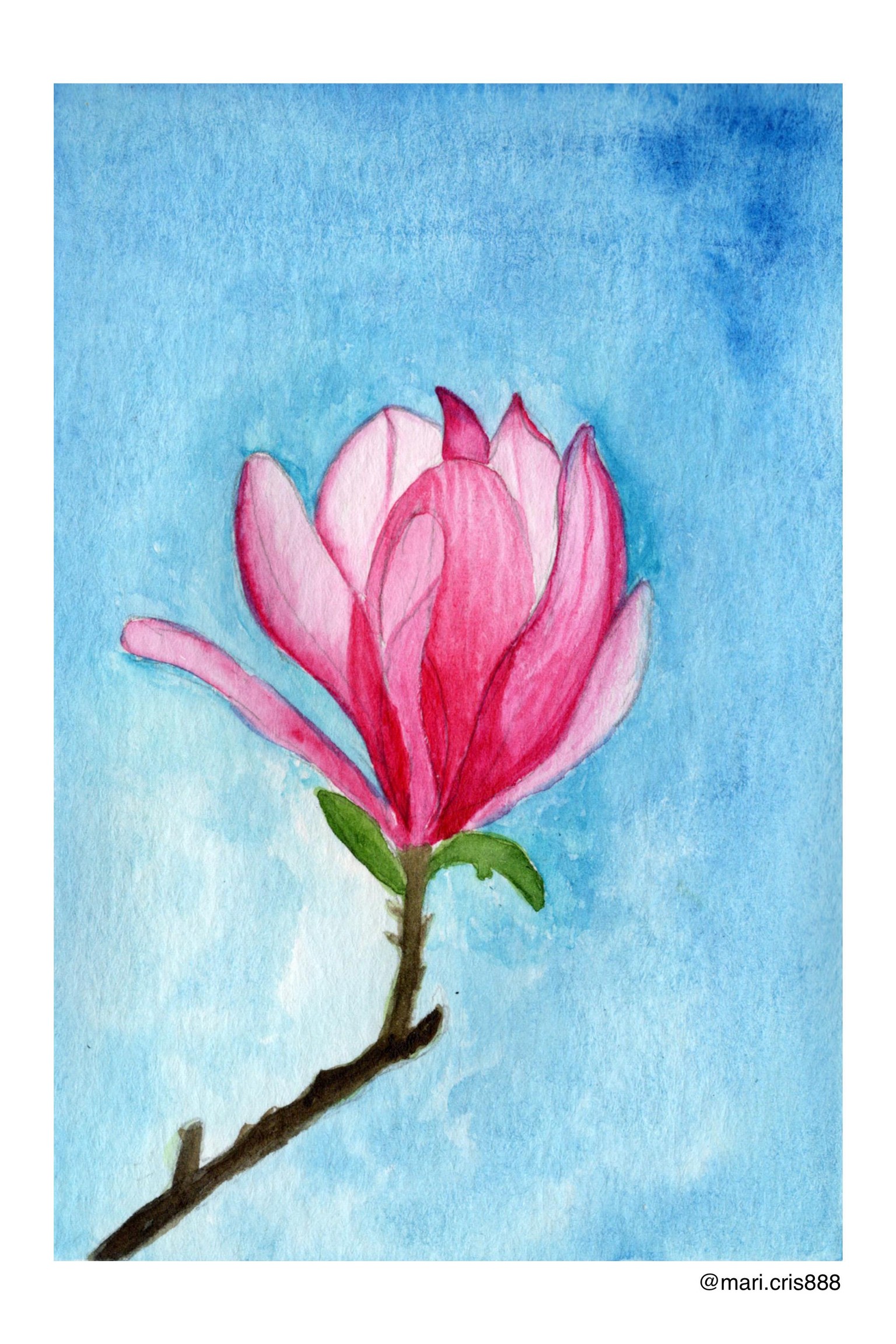Floral - image 4 - student project