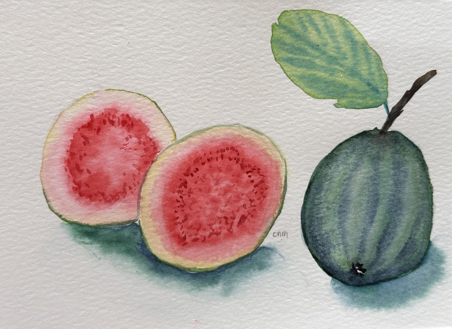 Guava - image 1 - student project