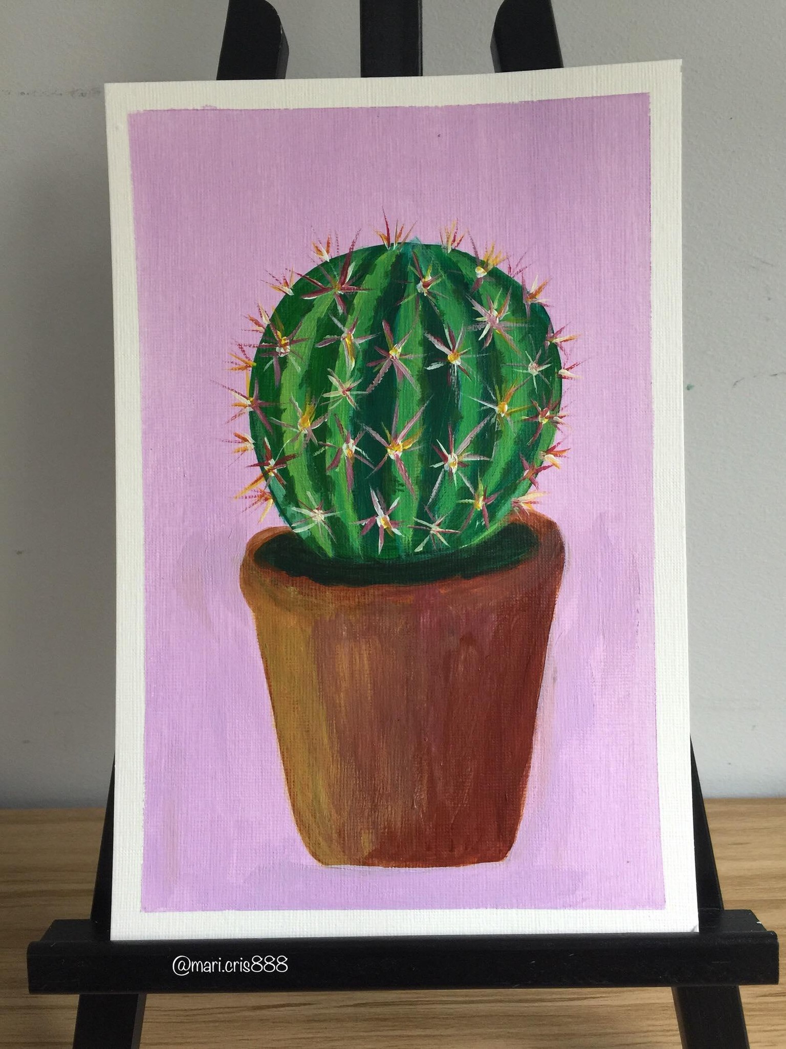 Cactus - image 3 - student project