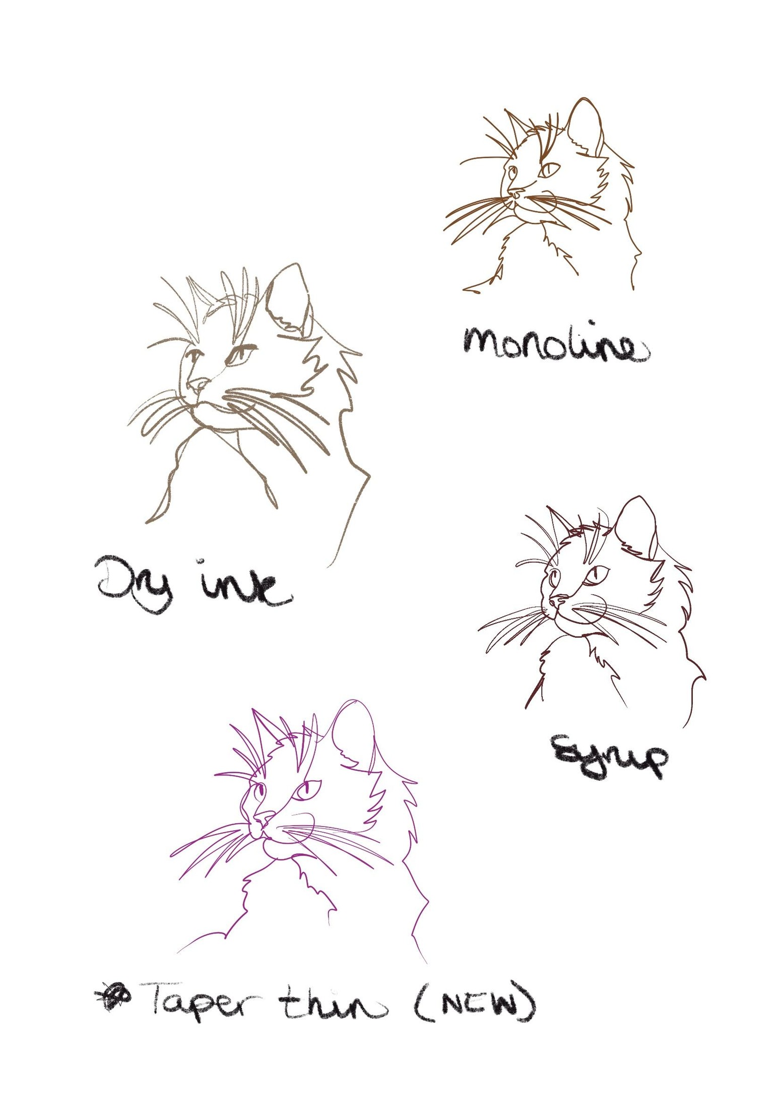 Cats cats cats - image 1 - student project
