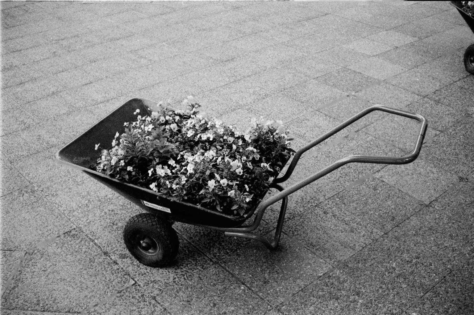 May in Berlin - image 7 - student project