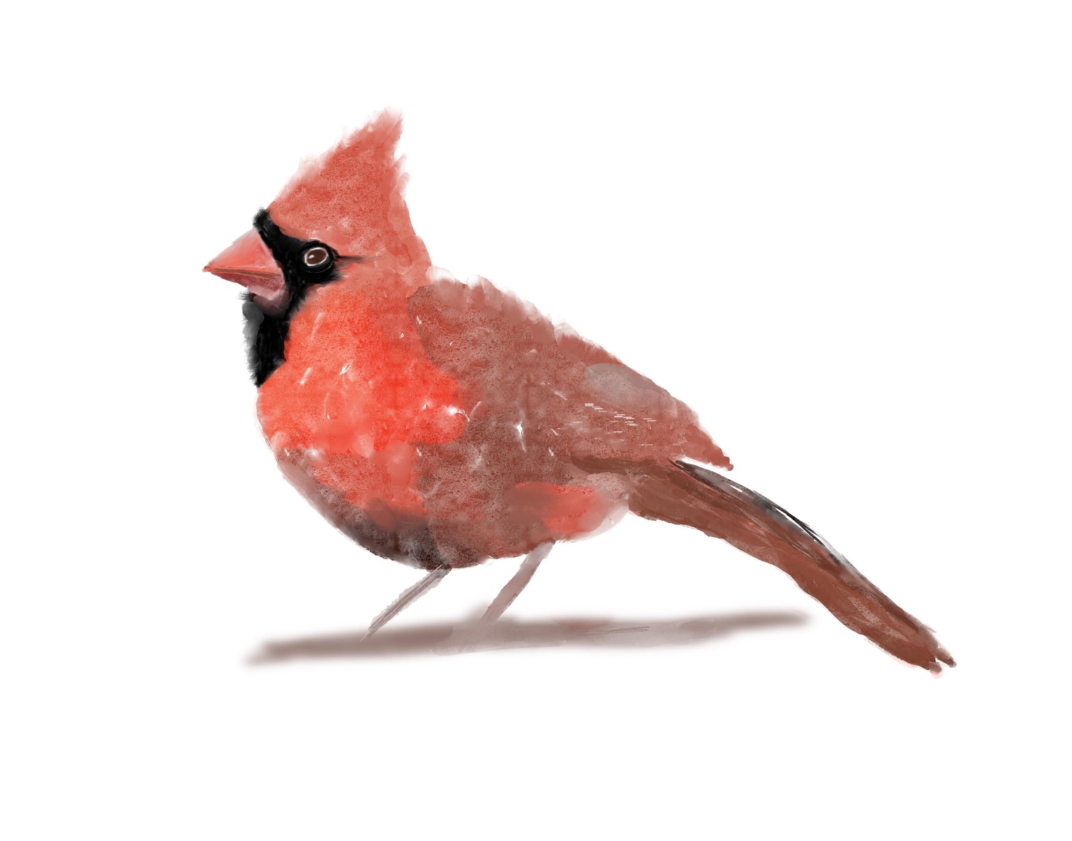 Watercolour in procreate with Paul Cheney - image 1 - student project