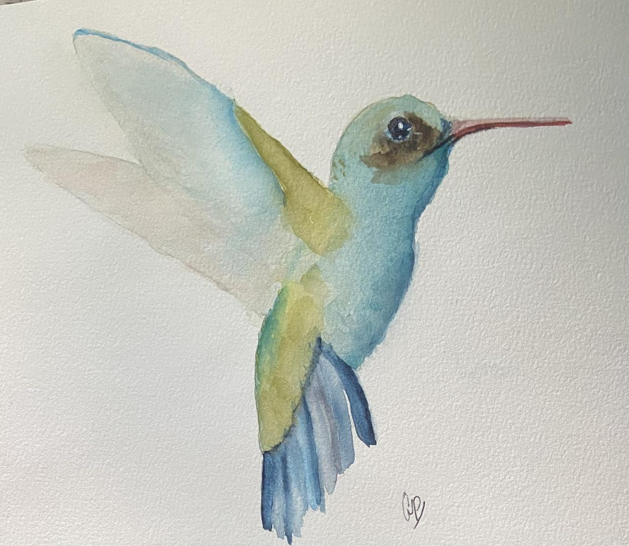 Hummingbird watercolour Masterclass with Paul Cheney - image 1 - student project