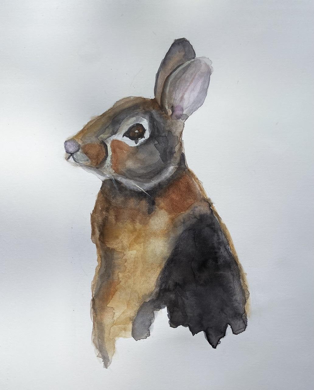 Watercolour rabbit - image 1 - student project